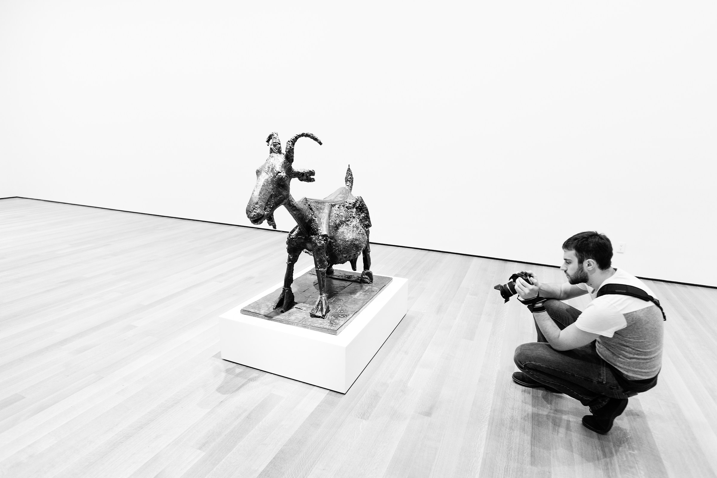 The Goat, the Photographer