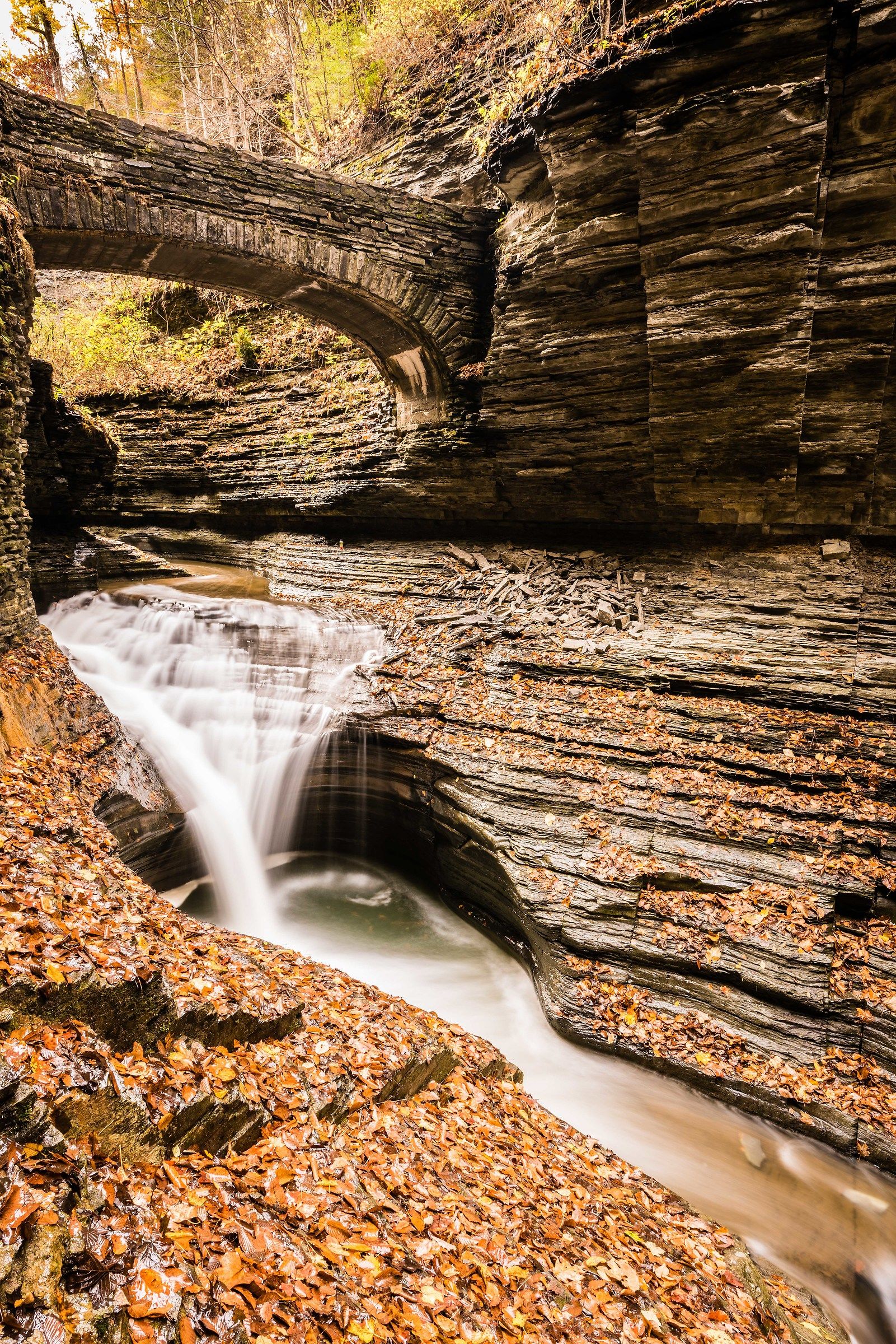 Fall under the Bridge