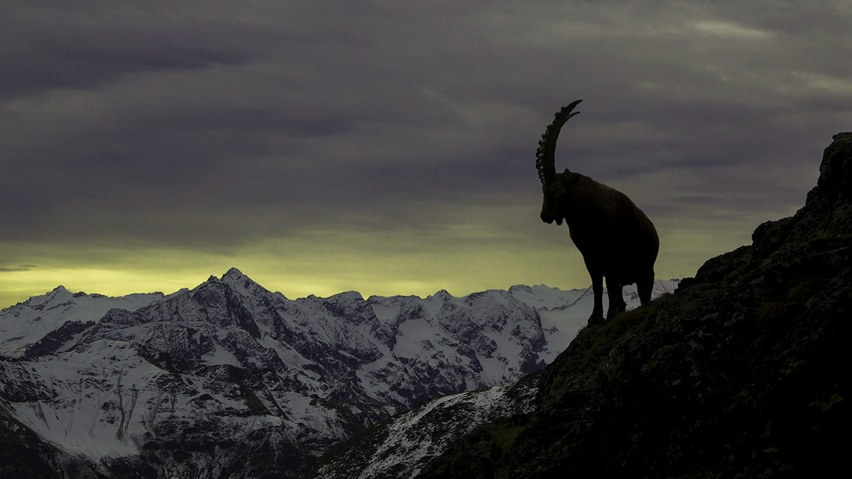 Il guardiano della valle