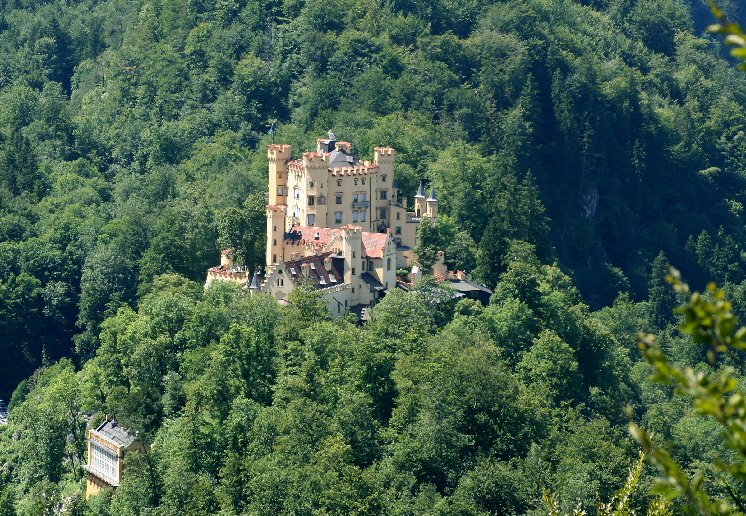 The castle surrounded by woods