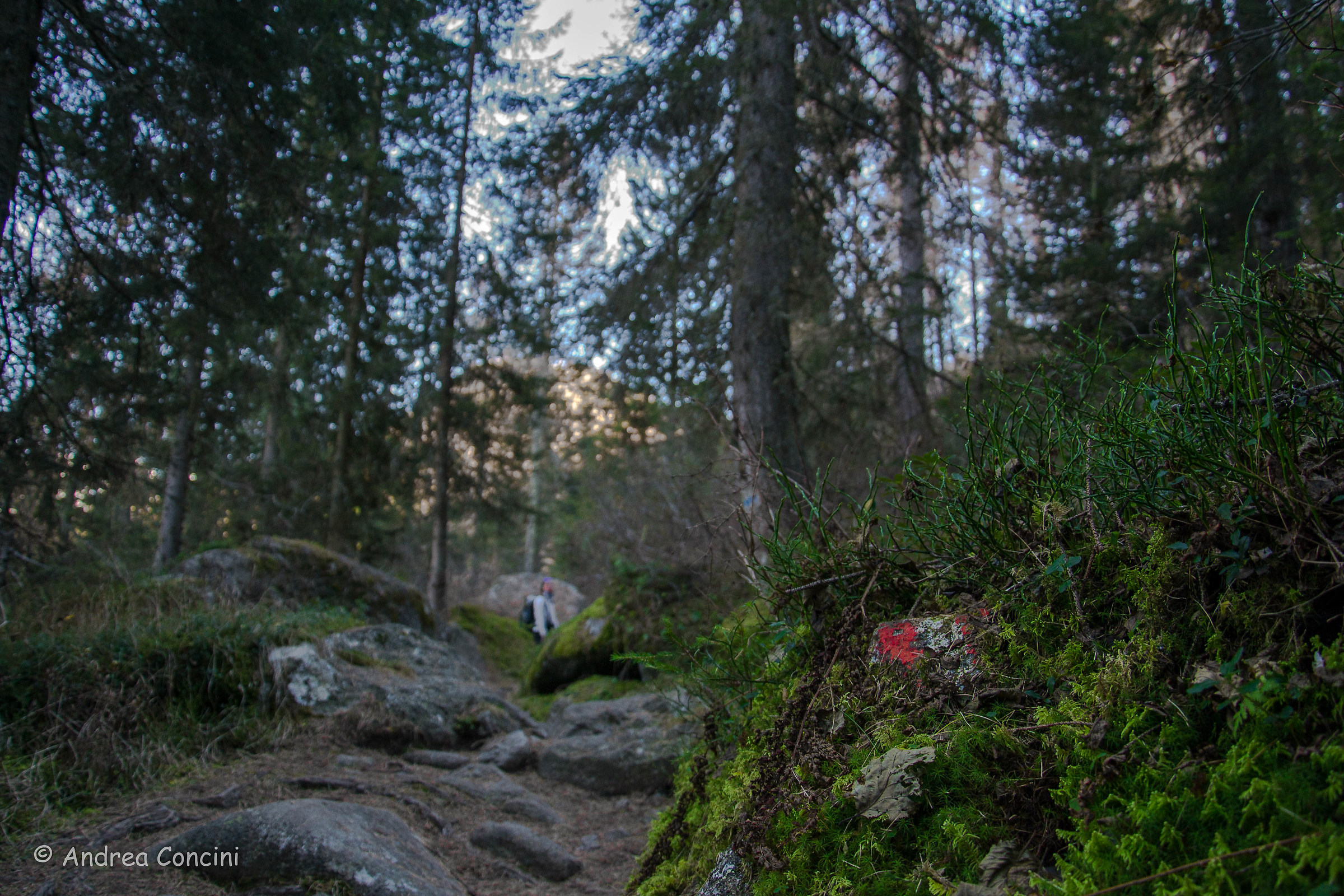 Rispetta la natura, segui il sentiero :)