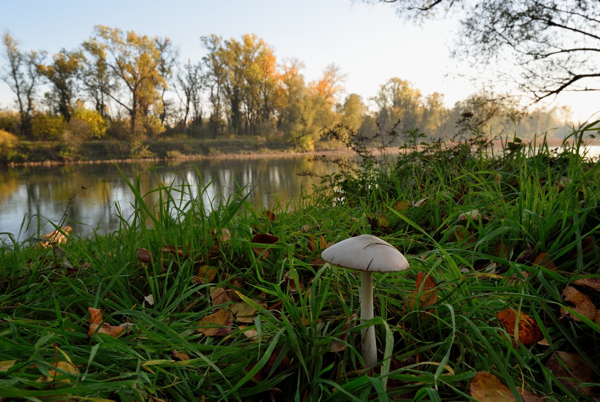 I colori dell'autunno lungo l'Adda