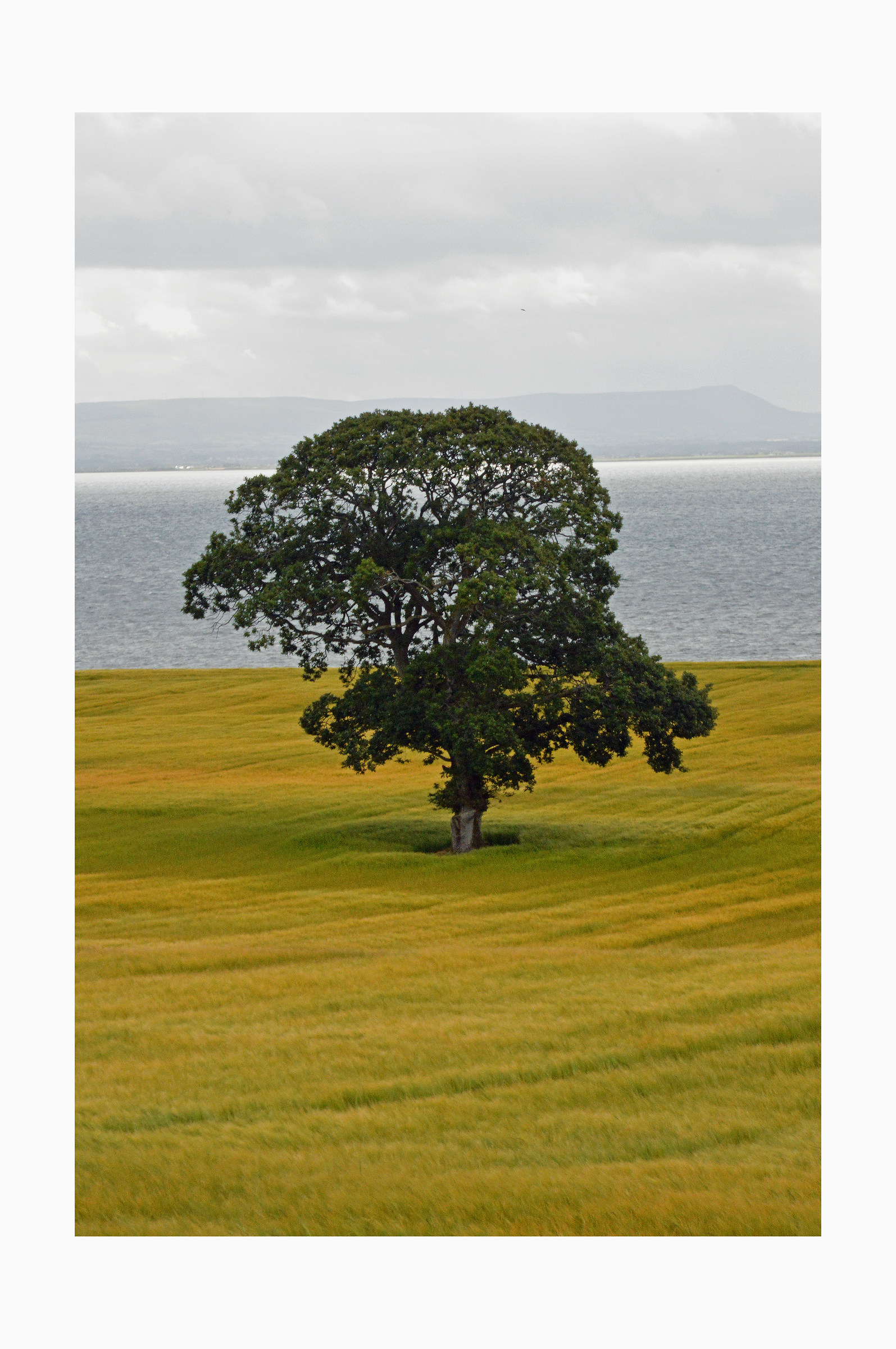 Irlanda-Donegal 2015