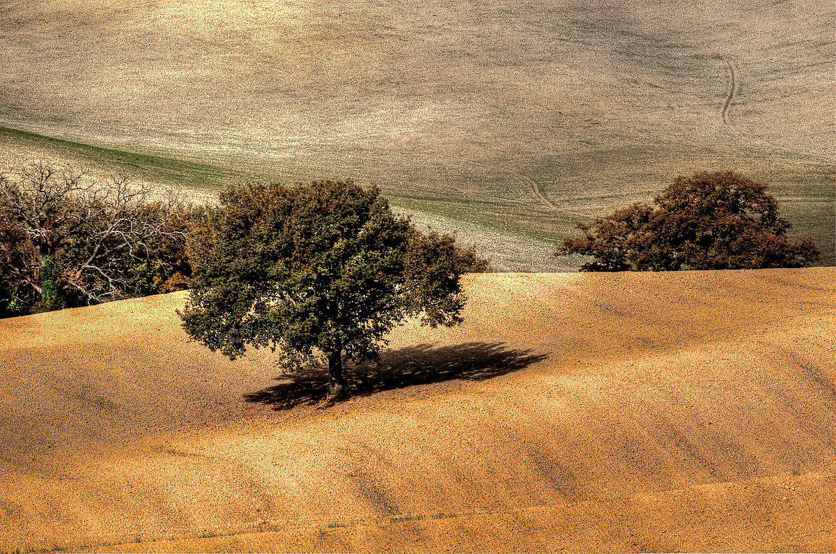 Colors of Tuscany ...