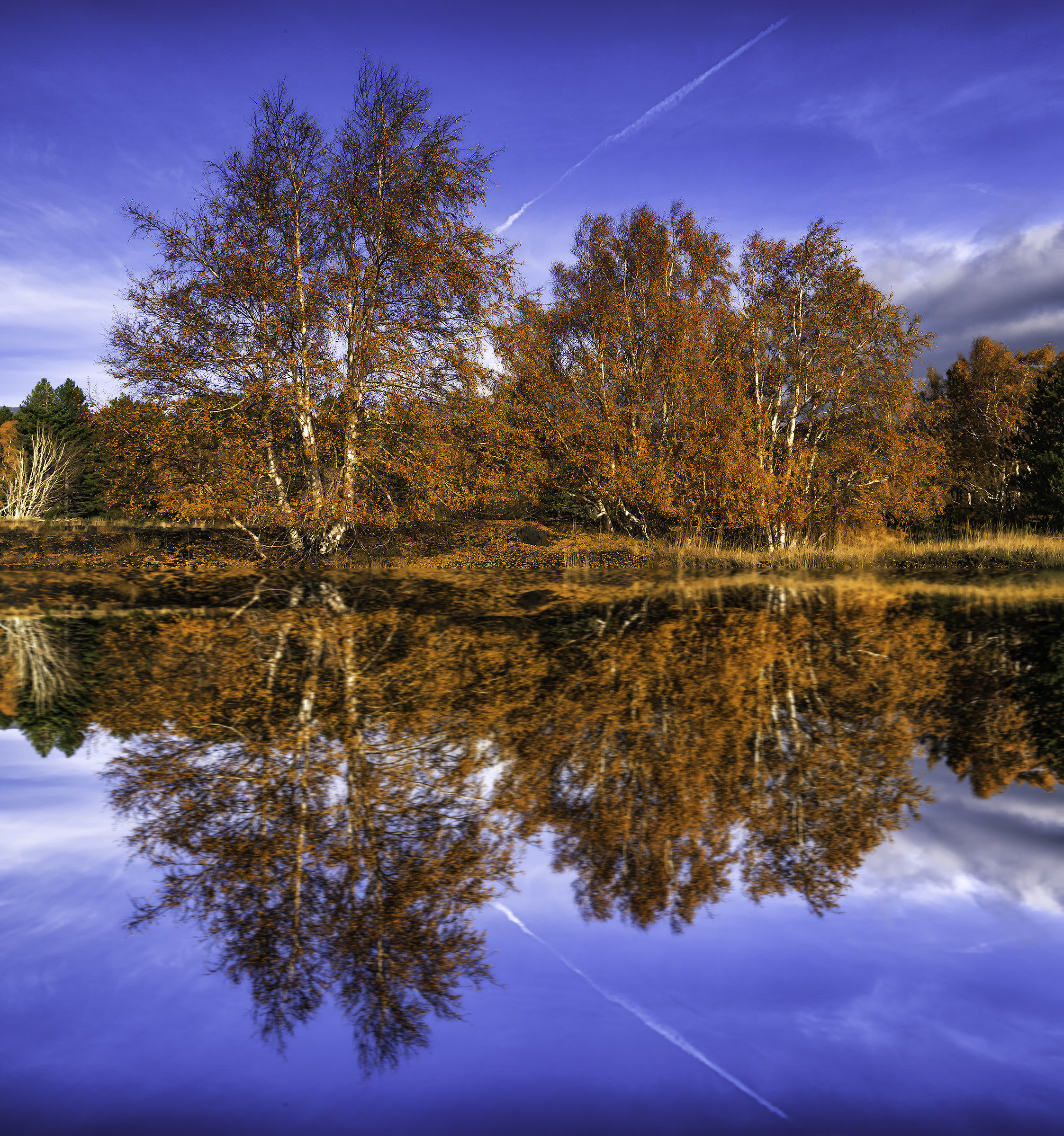 Autumn Reflections