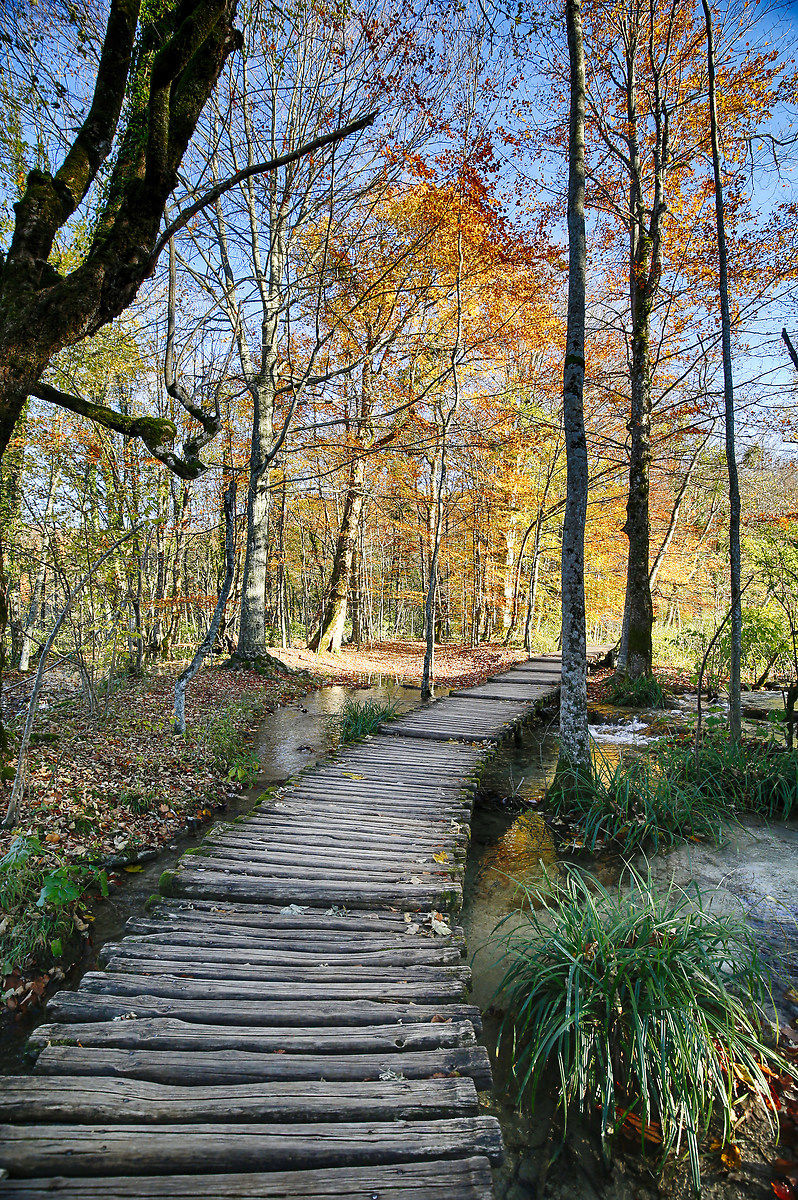 Walkway on water in the park Plitvice