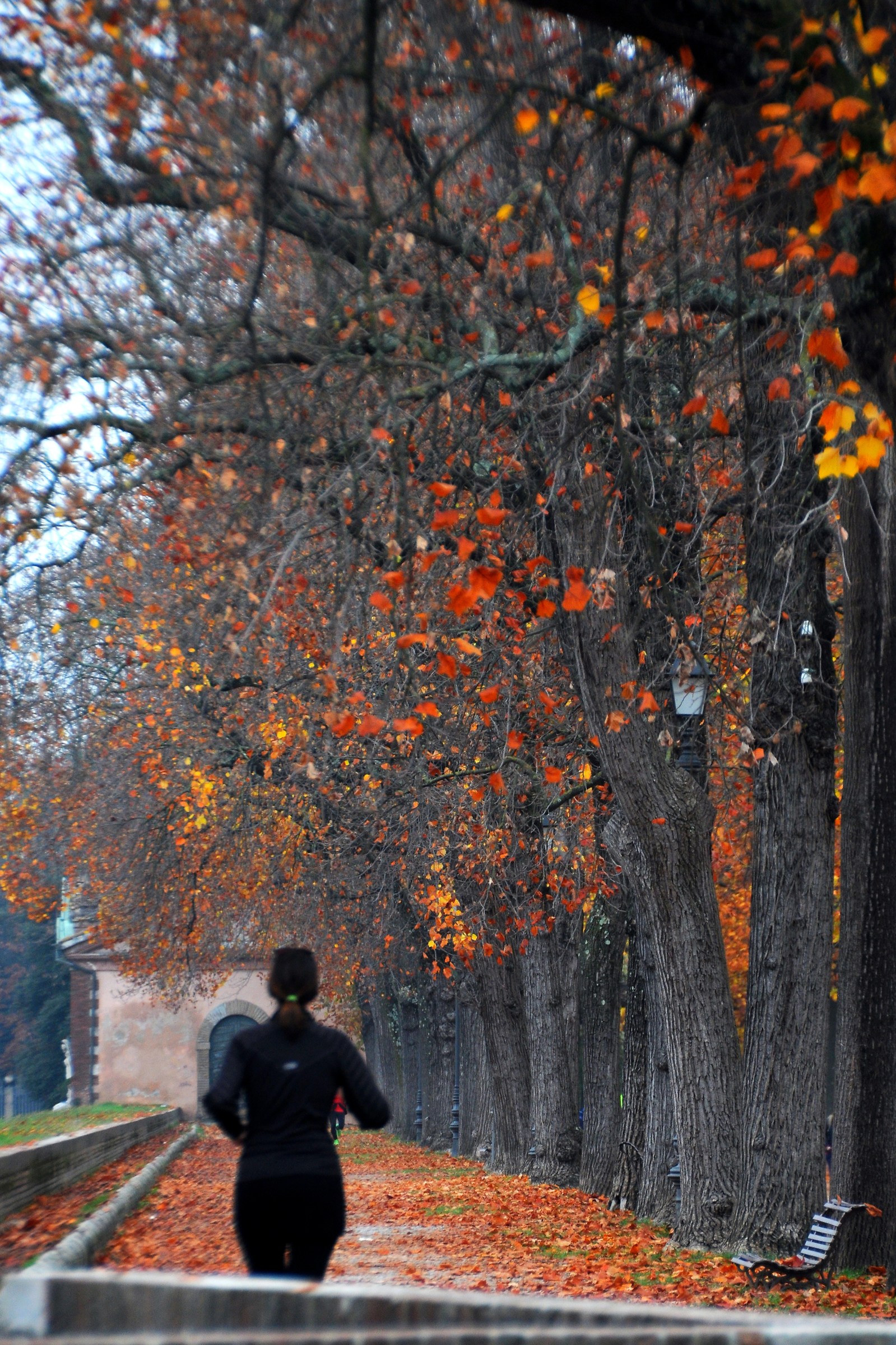 On the walls of Lucca