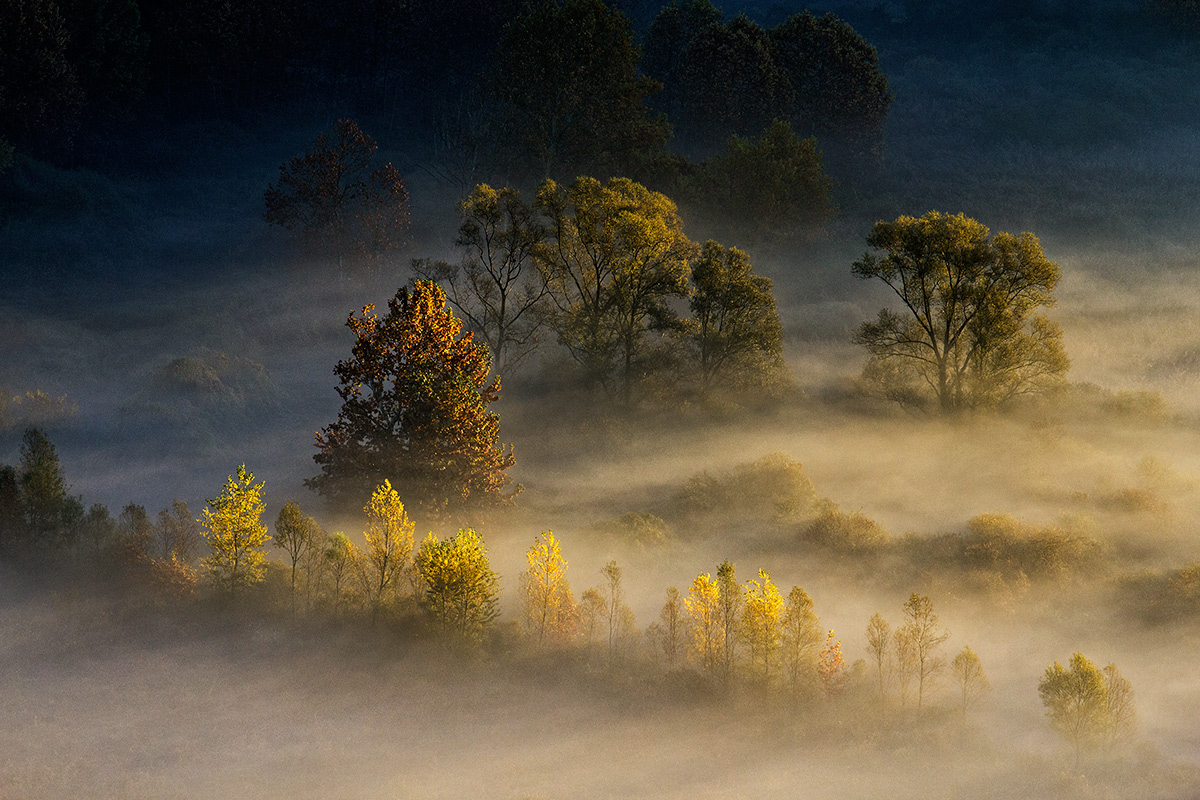Passaggio di consegne