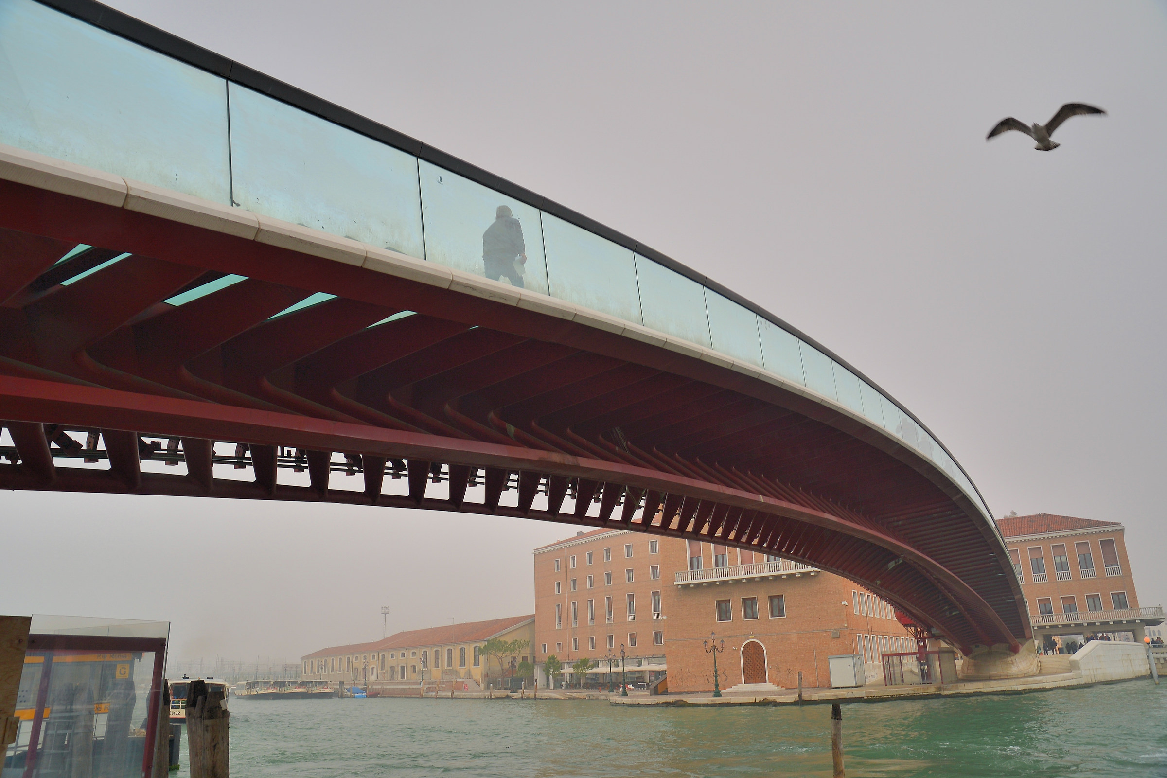 Venezia : ponte di Calatrava