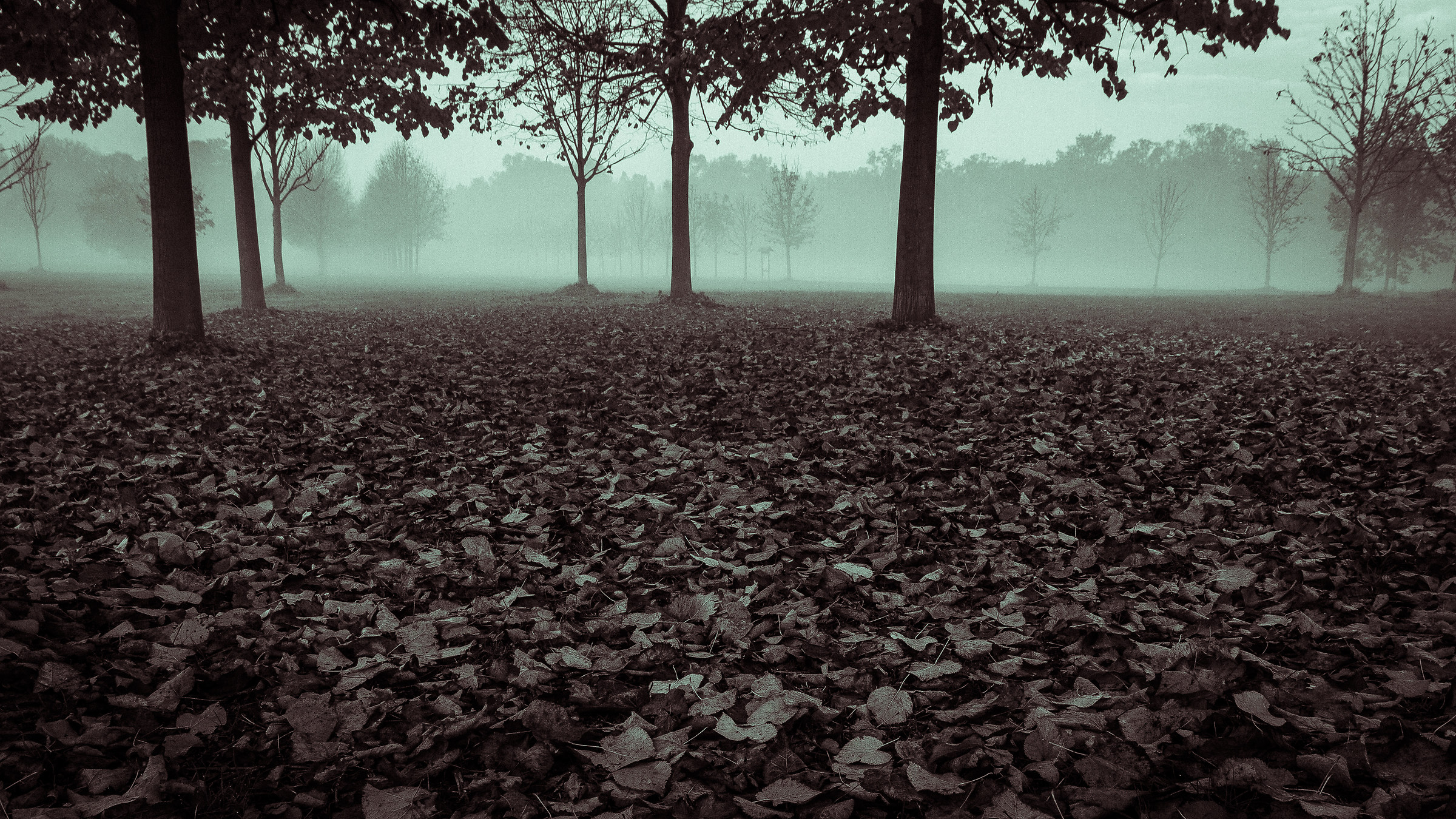 alba invernale al parco reale di Monza