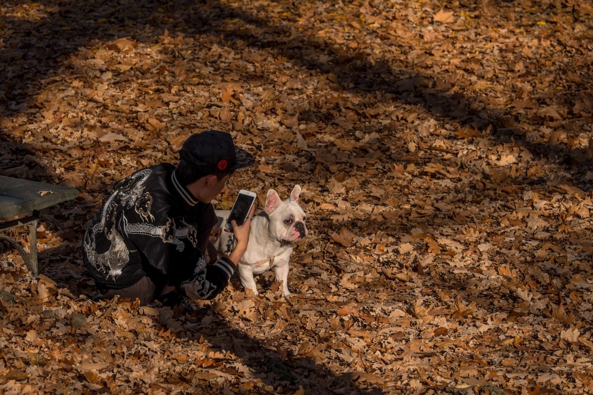 stop!!!..fermo così................