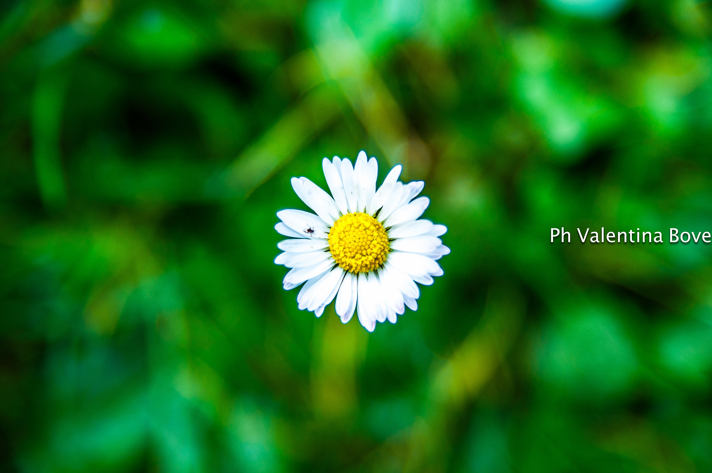 Sorprese d'autunno...