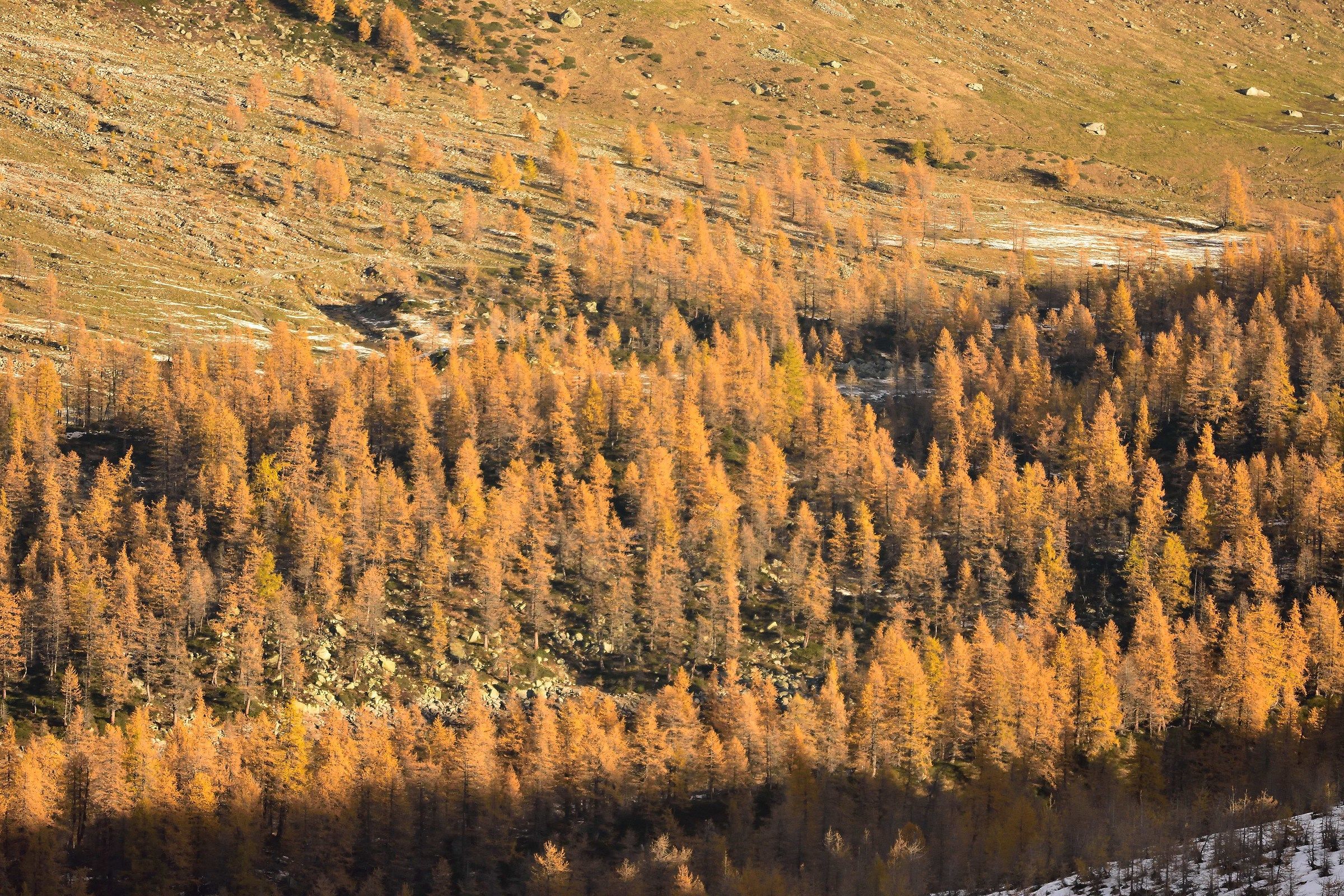 val Buscagna from Mount ×la