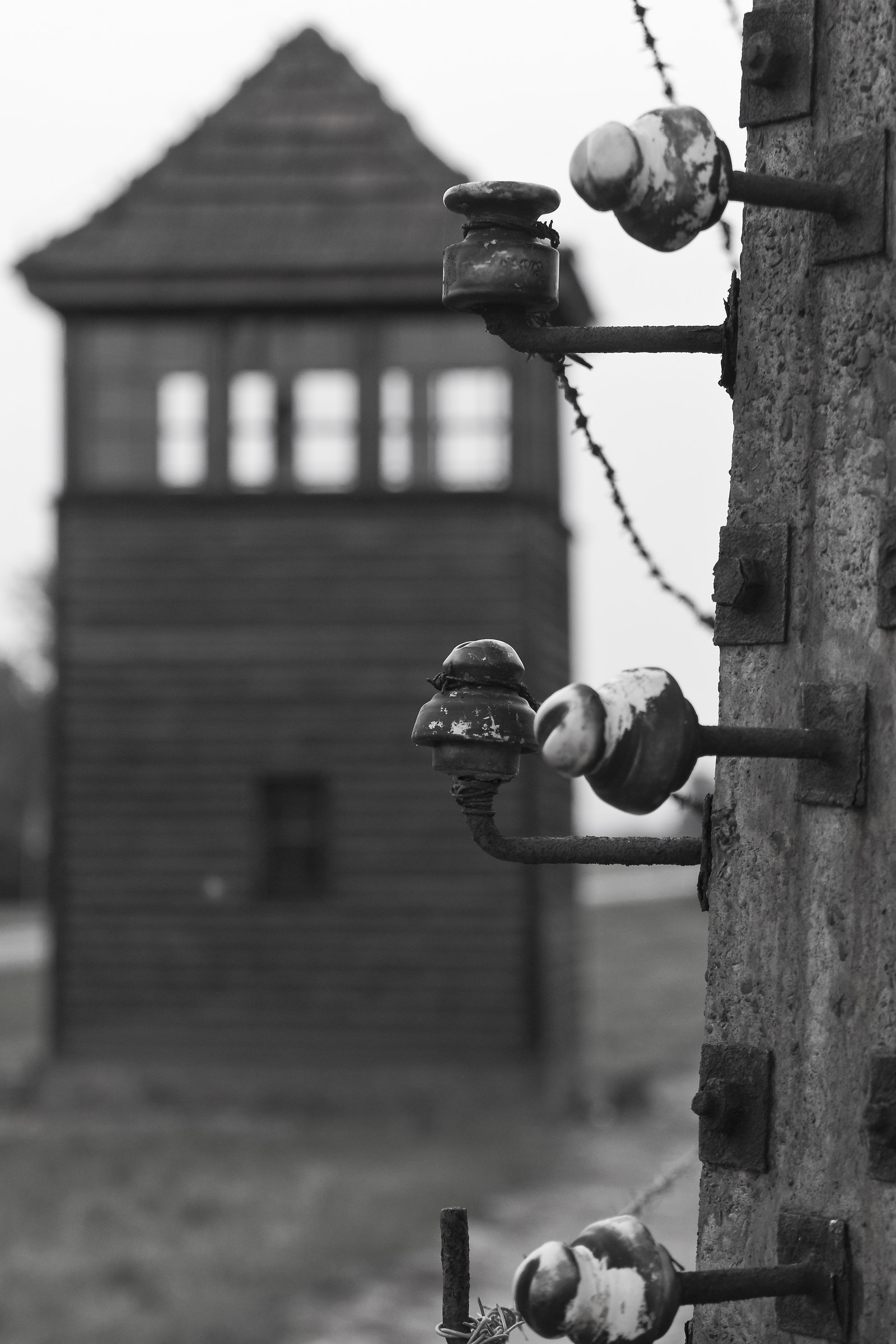 Per non dimenticare (Birkenau)
