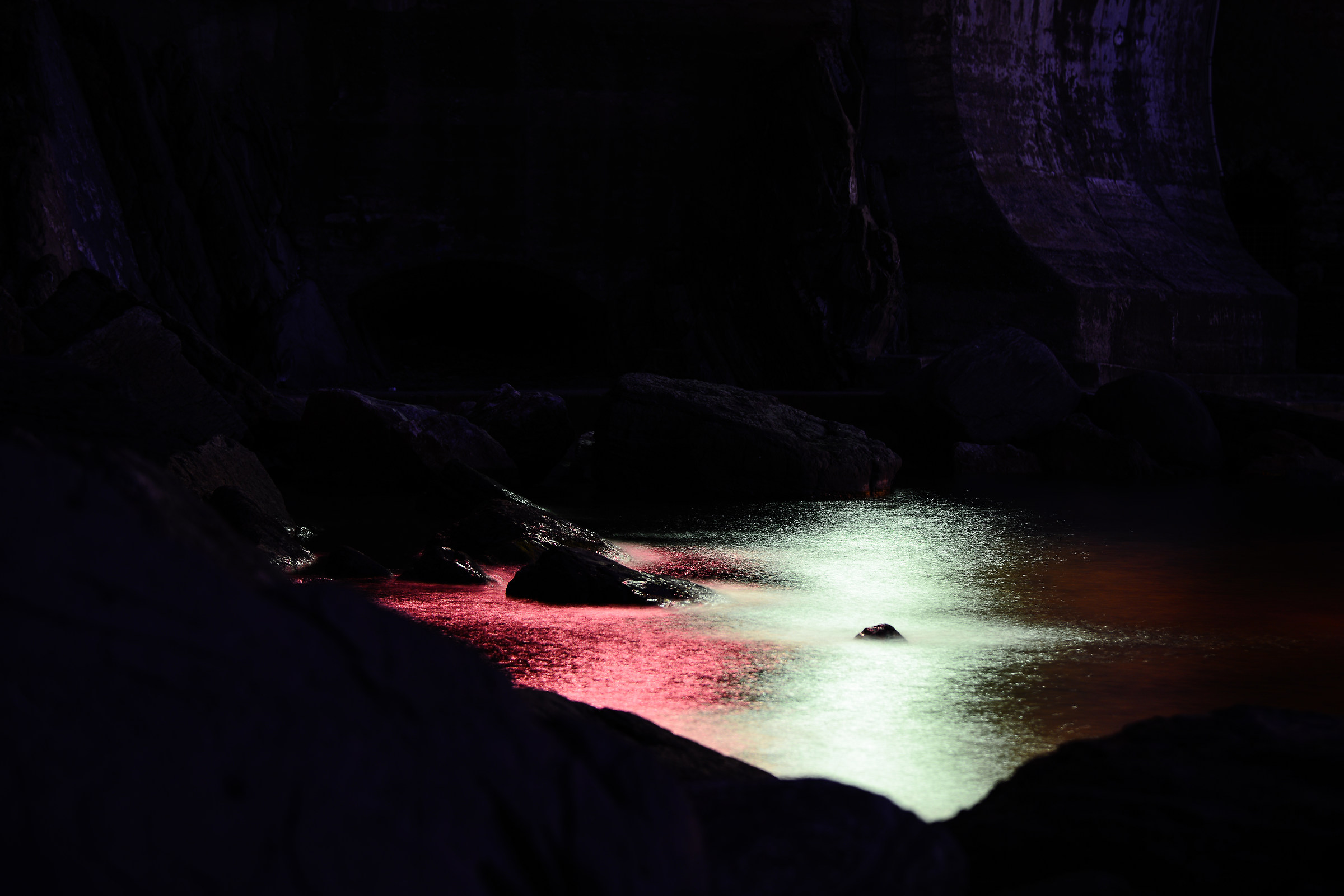 Brushstrokes of enchantment