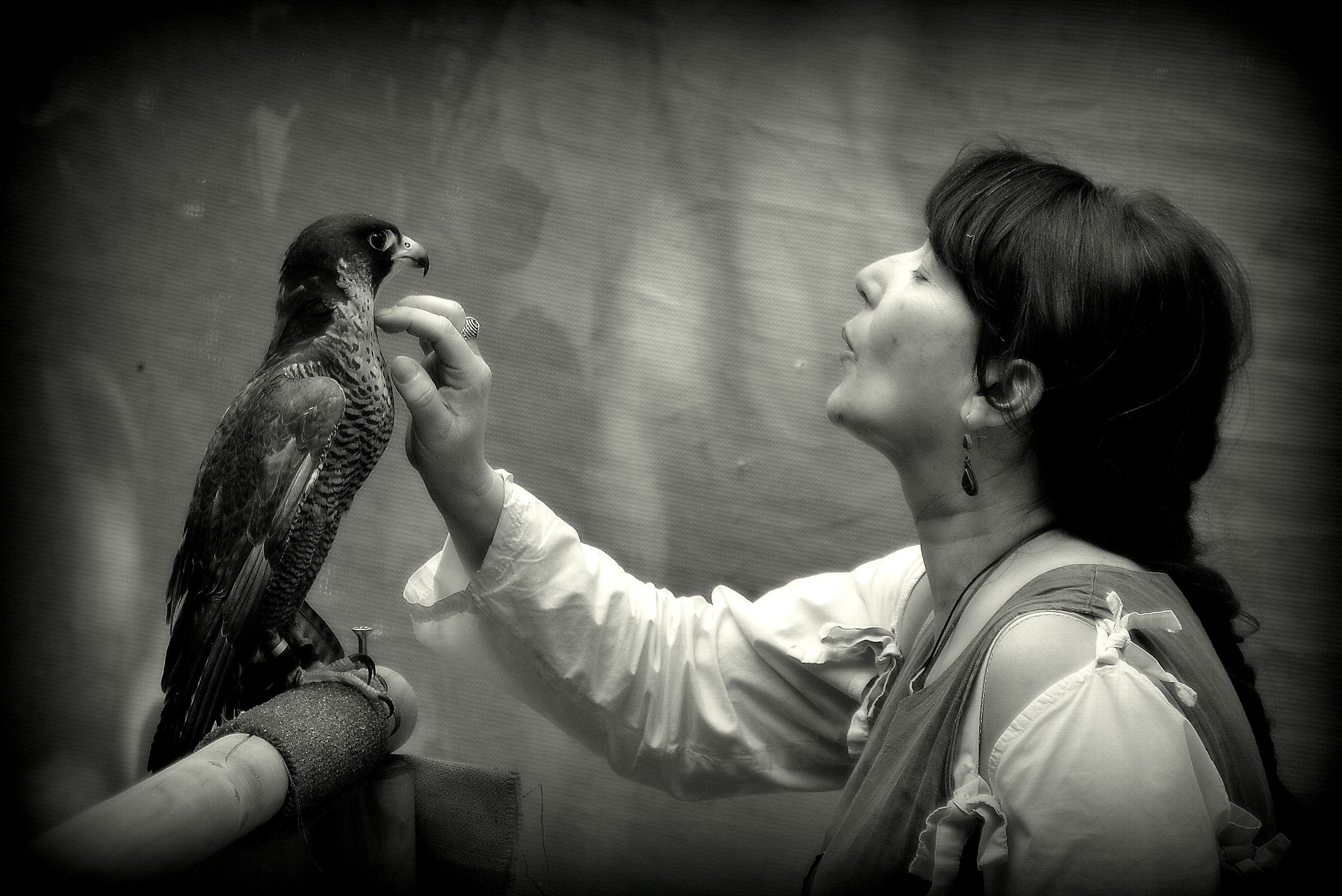 The woman whisperer hawks