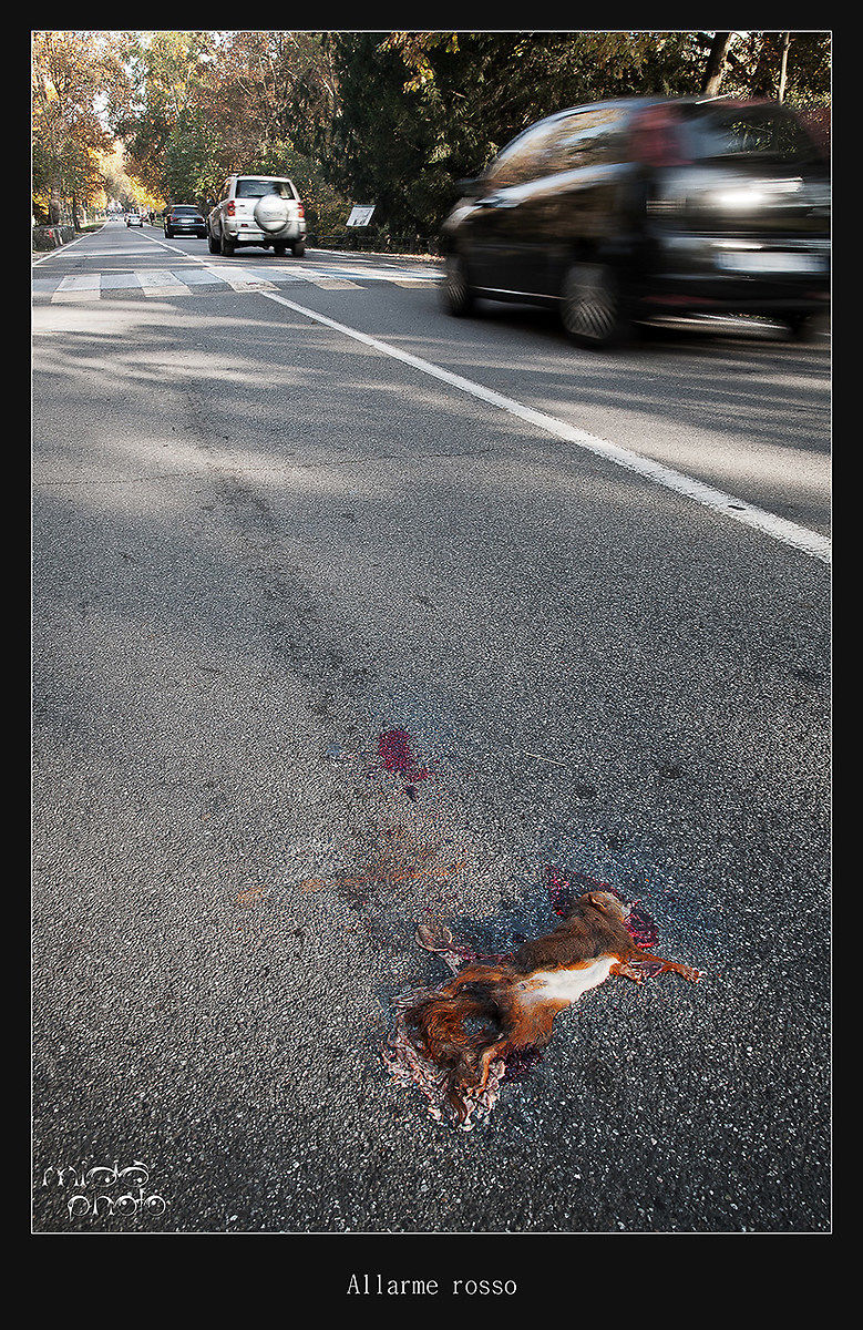 Allarme rosso