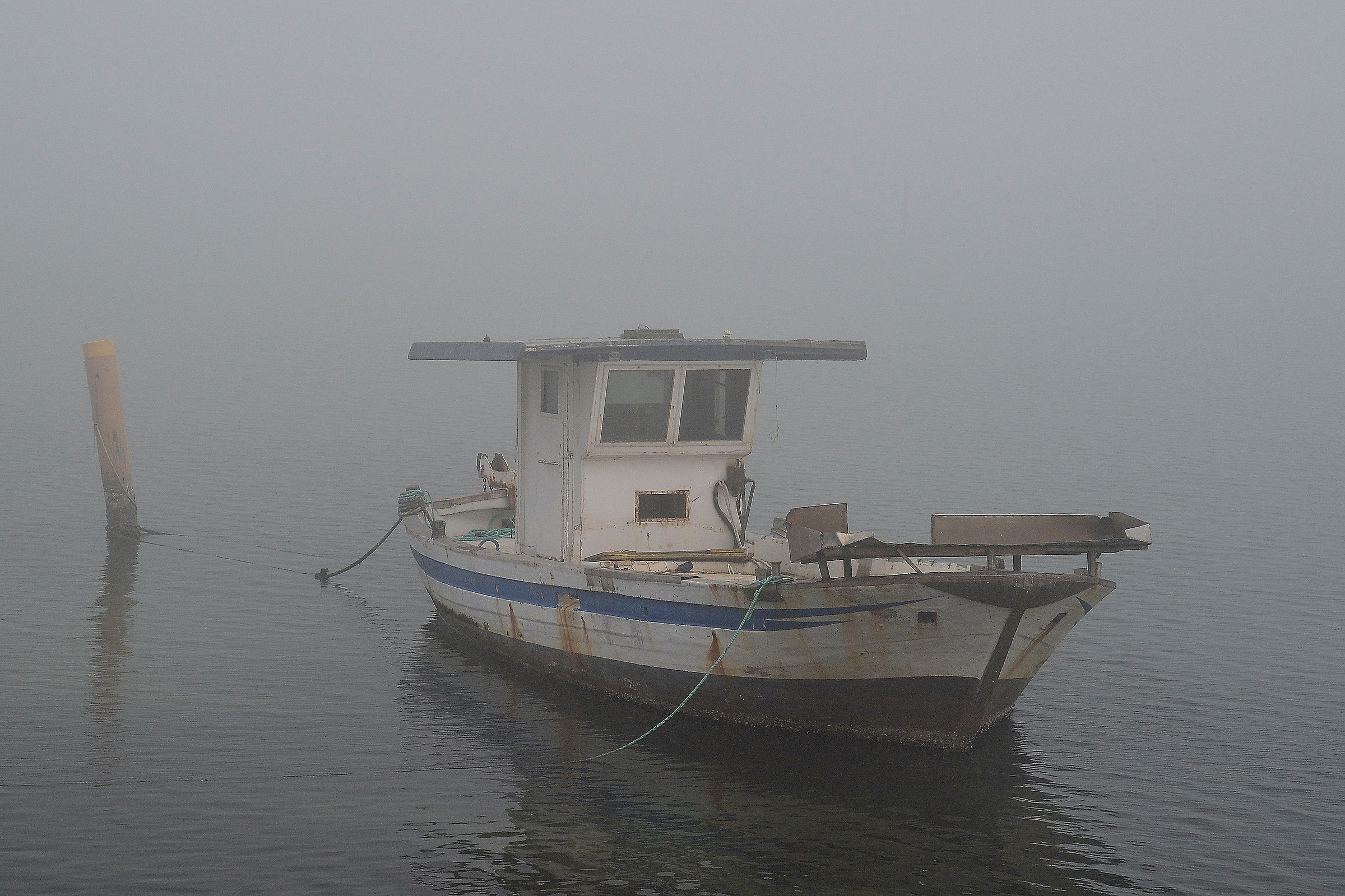 nebbia nel delta del Po
