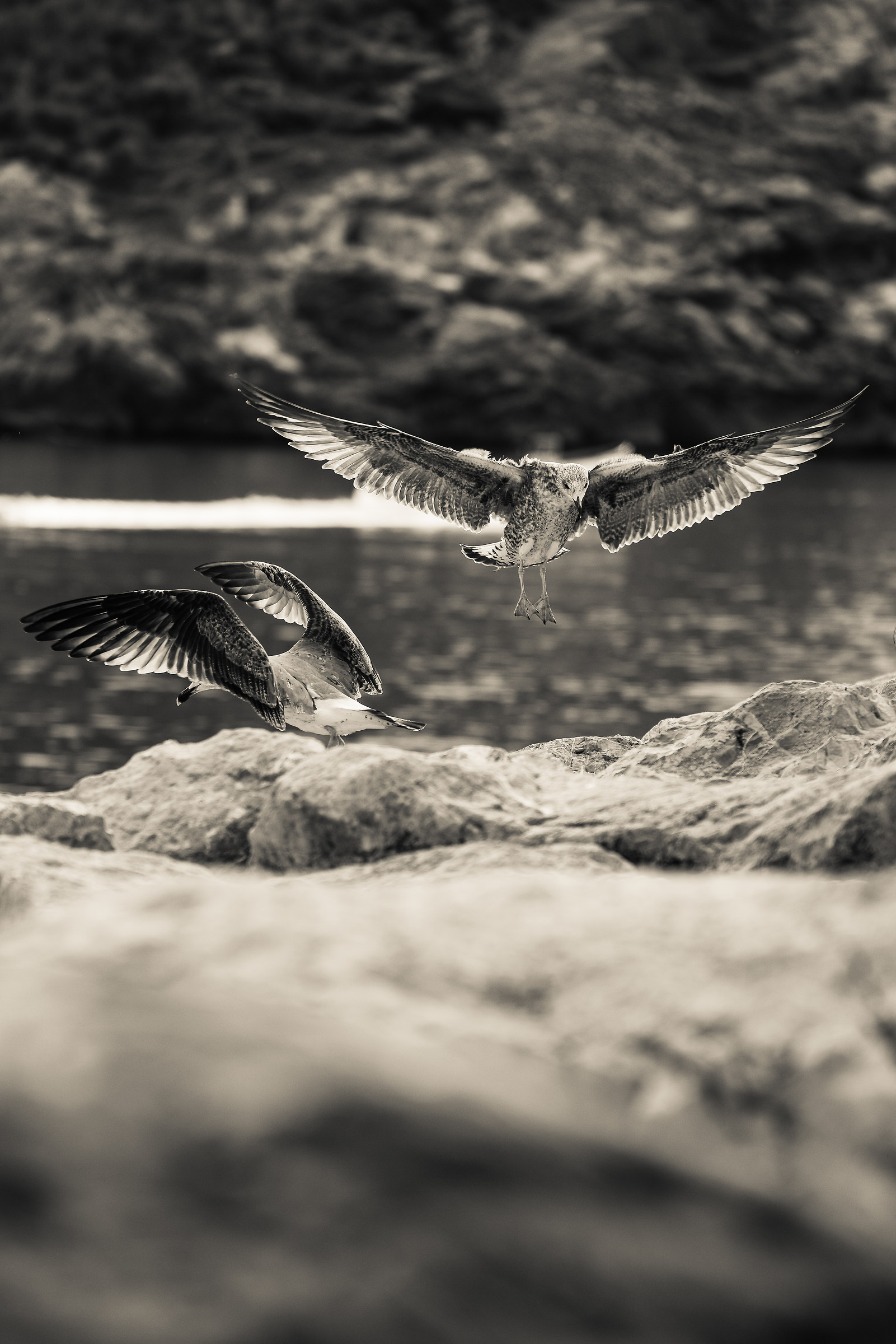 Those lands and who takes off