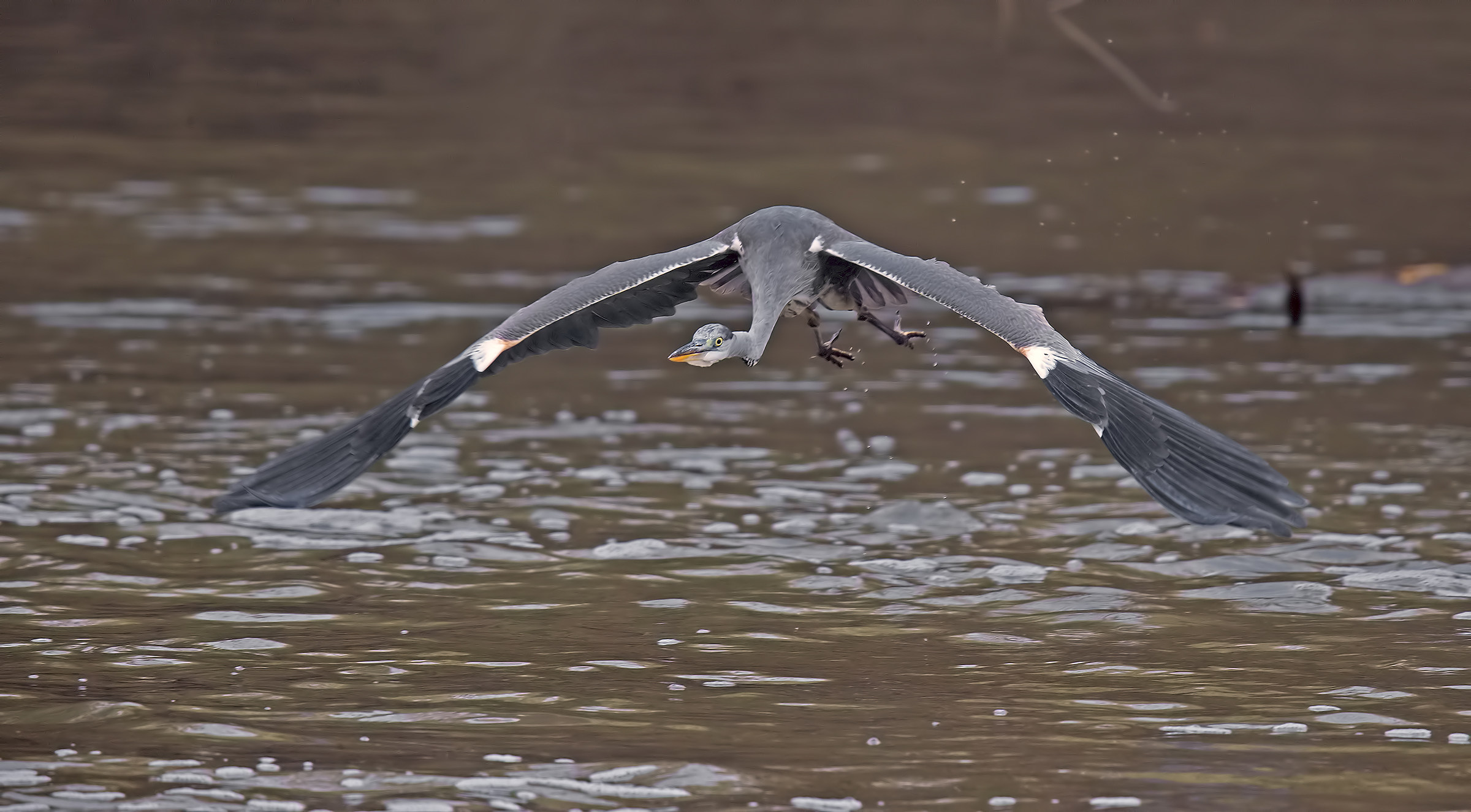 grigio...come il tempo.....