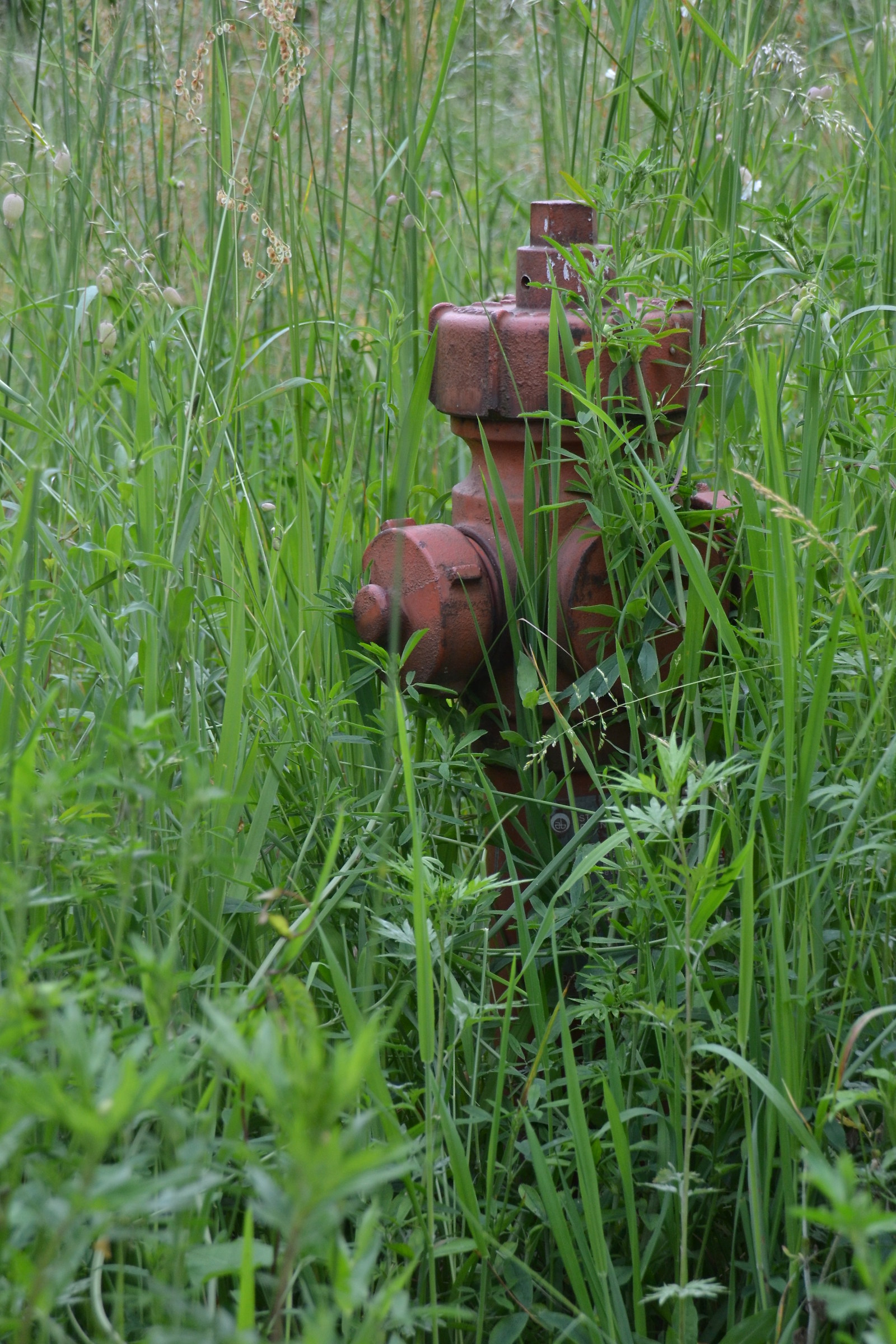 hydrant
