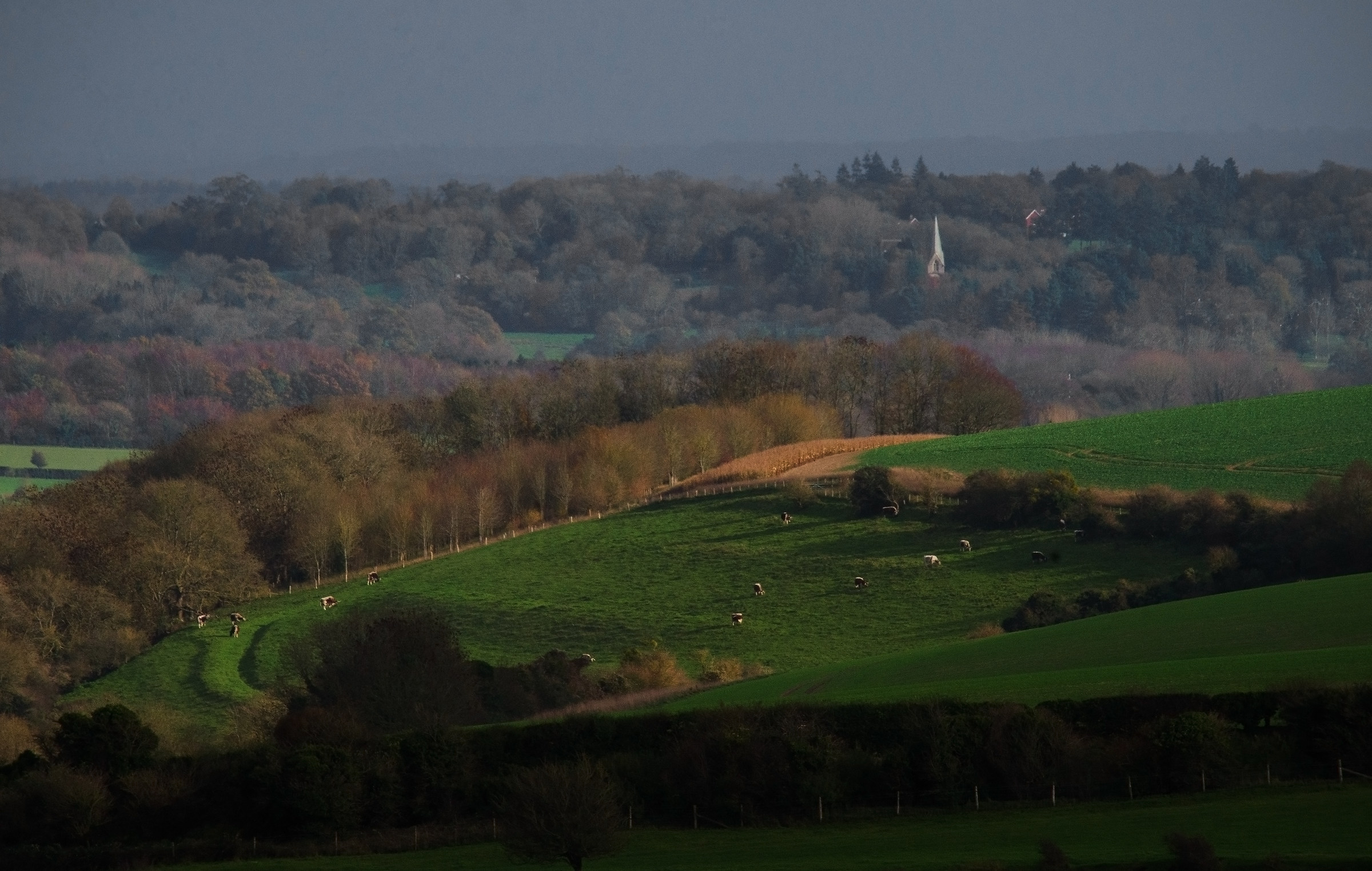 Alderbury Chiesa, a 10 km di distanza!