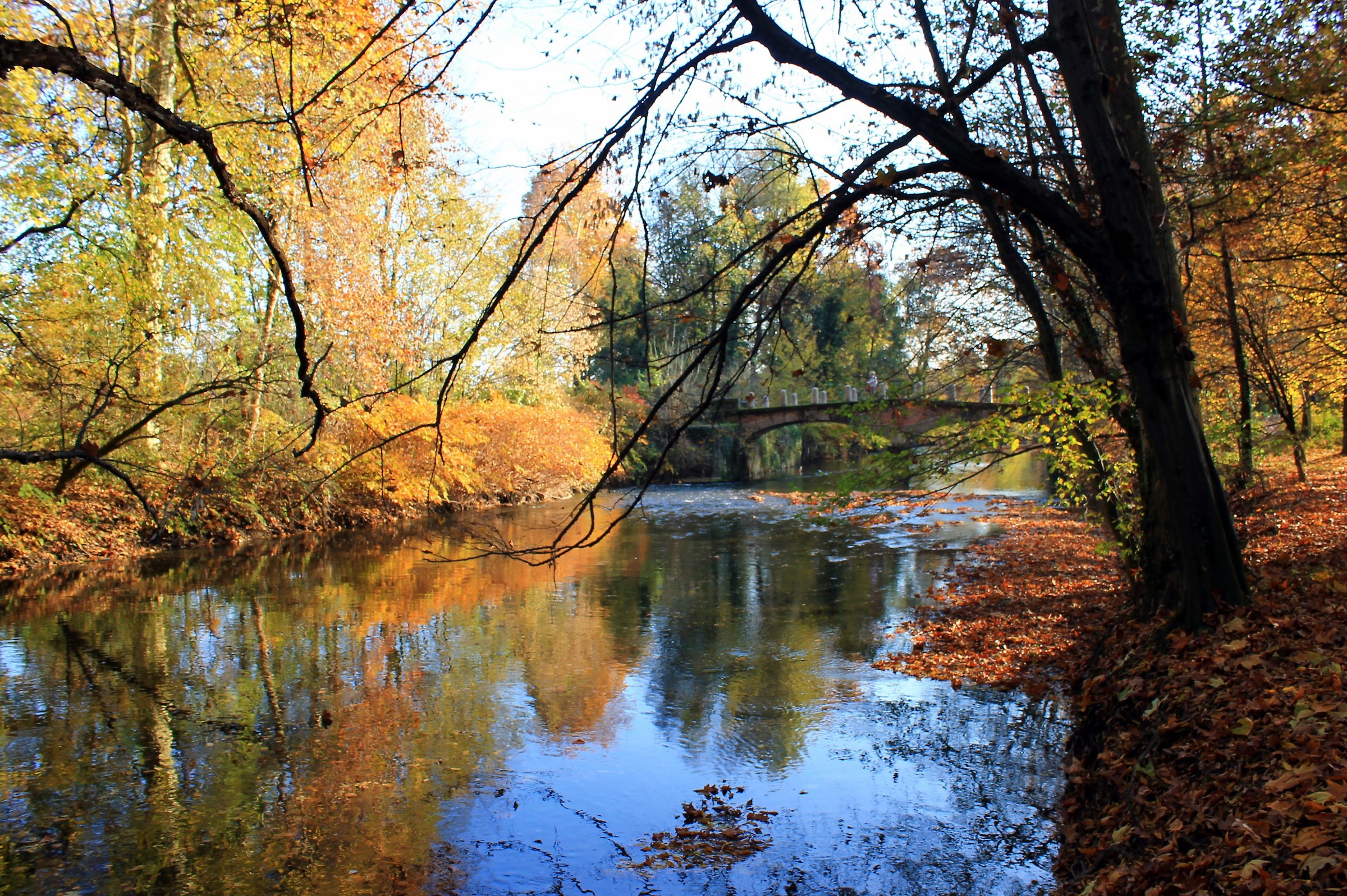 Autunno soleggiato