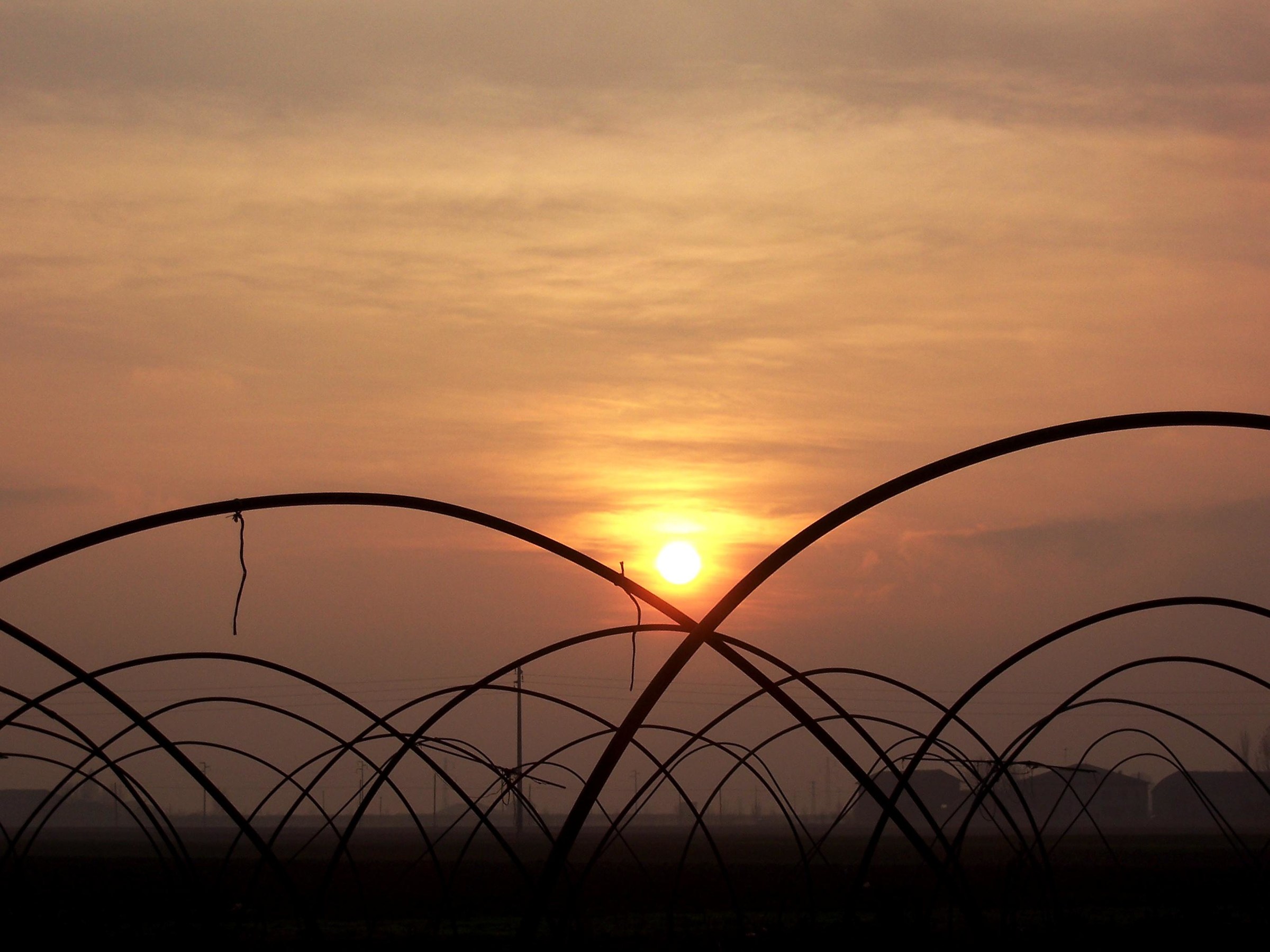 agricultural architecture