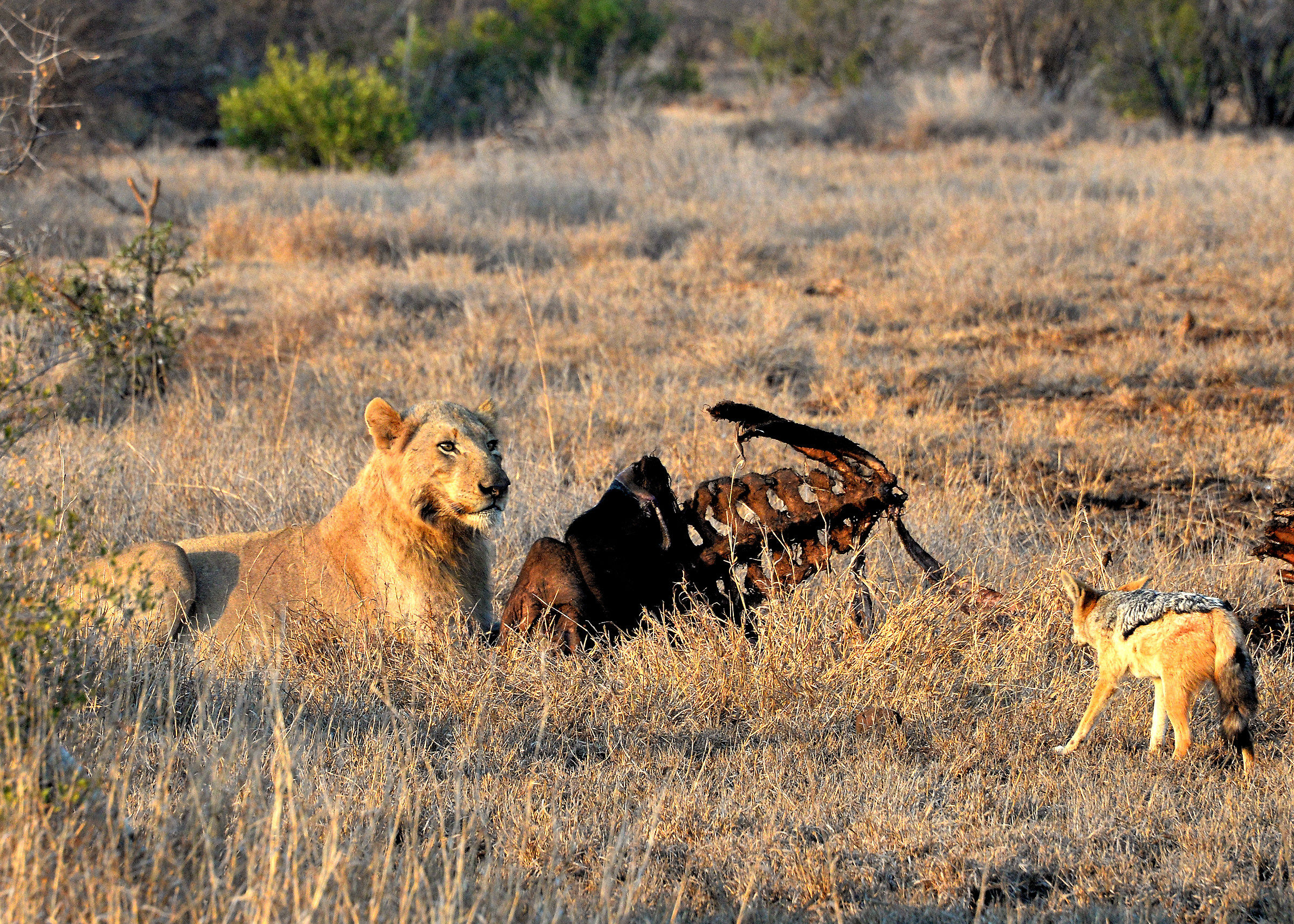 non provarci nemmeno