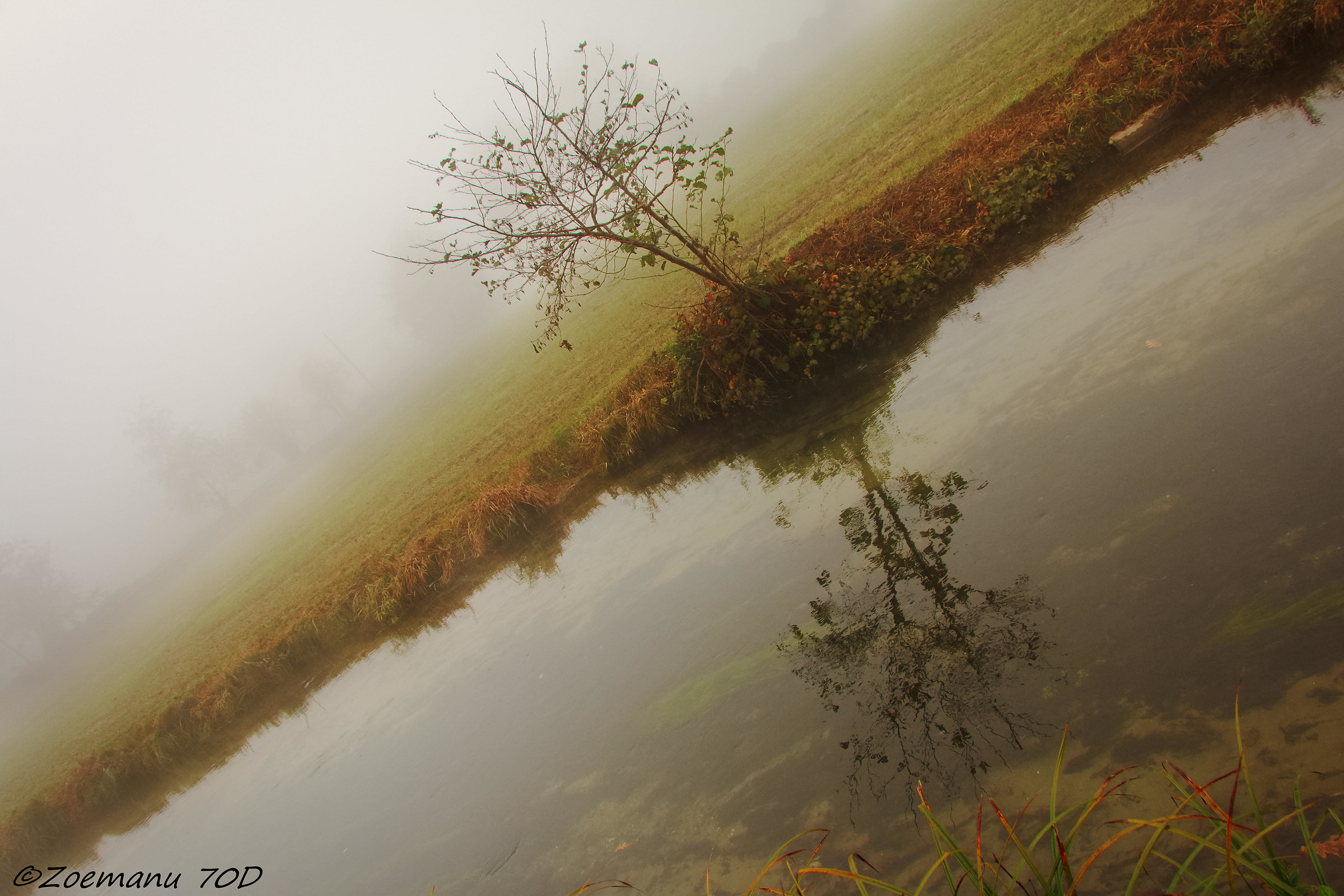 orientamento nella nebbia