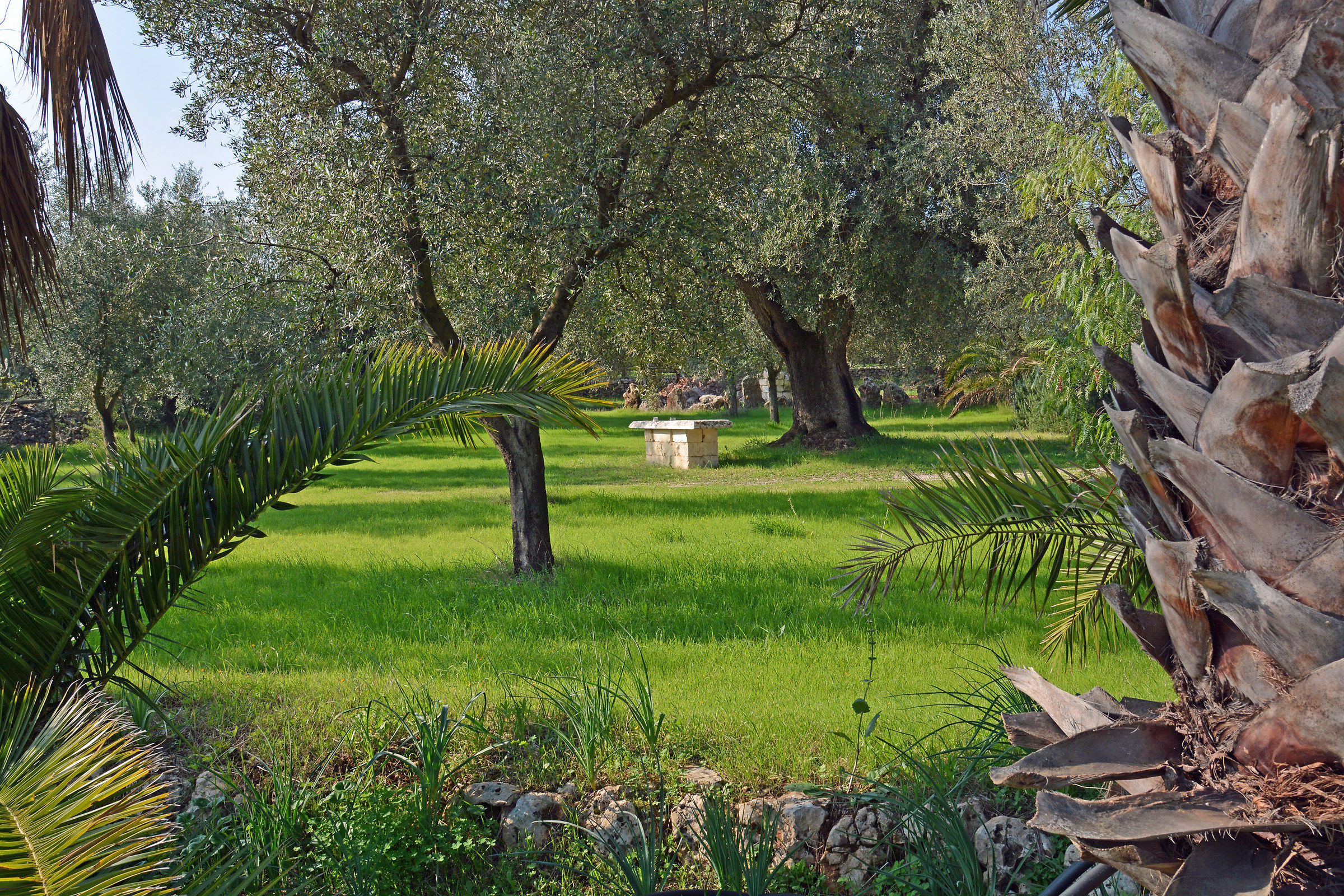 Green Puglia