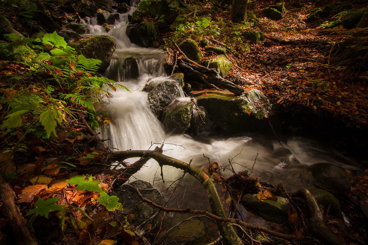 L'intimità del piccolo rio