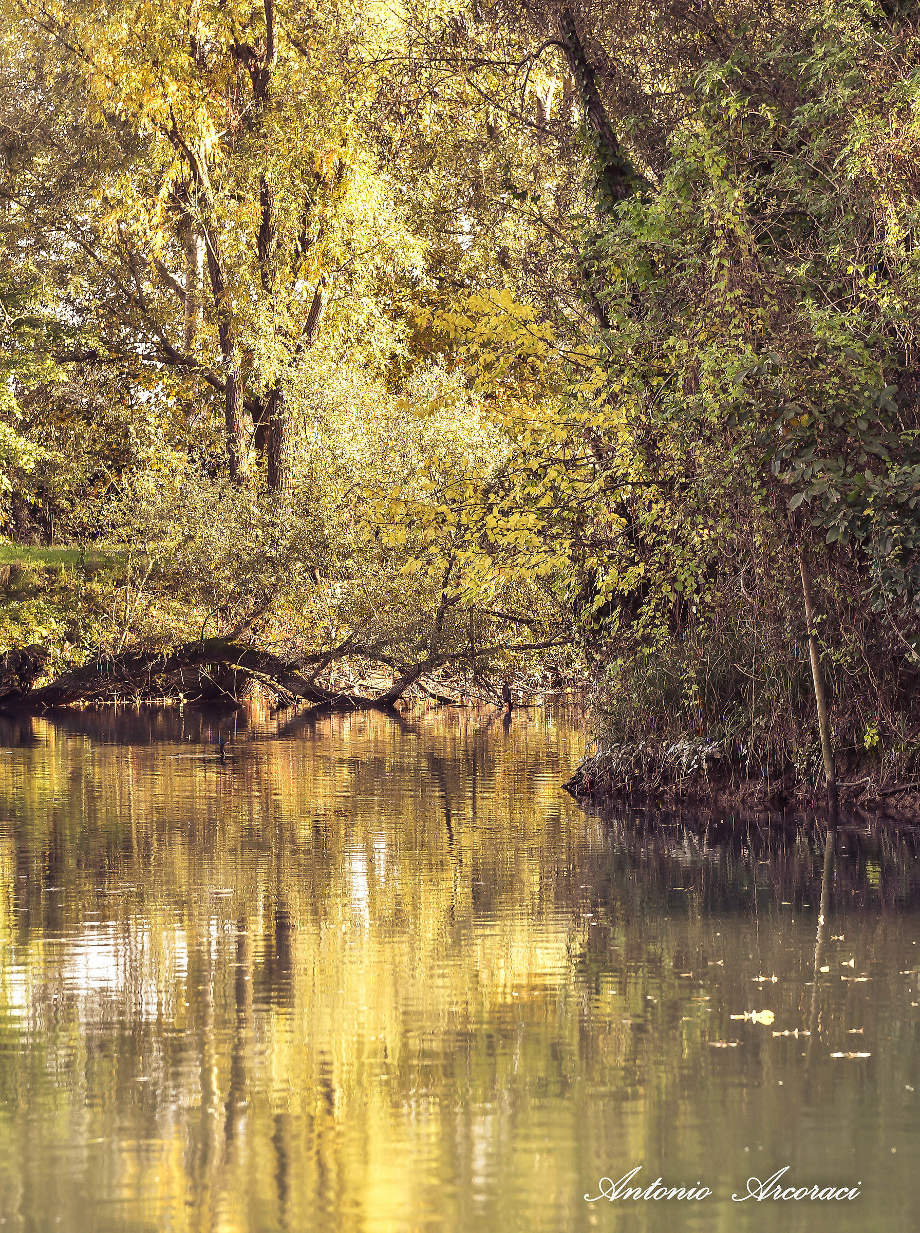 Colors of the river Sile