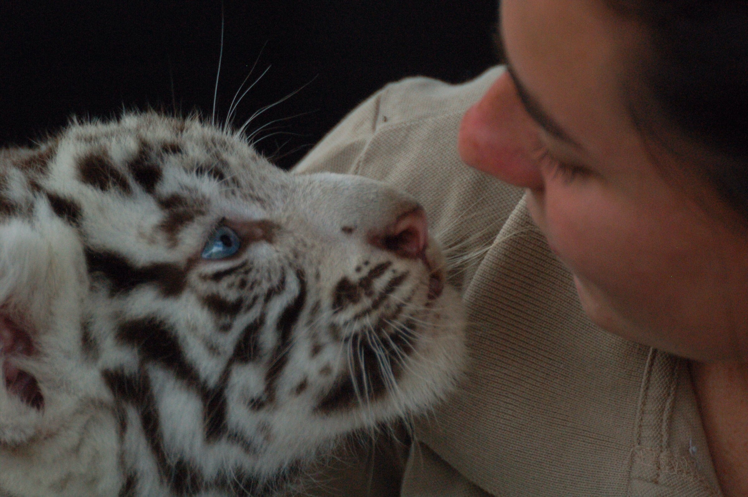 Un amore speciale...