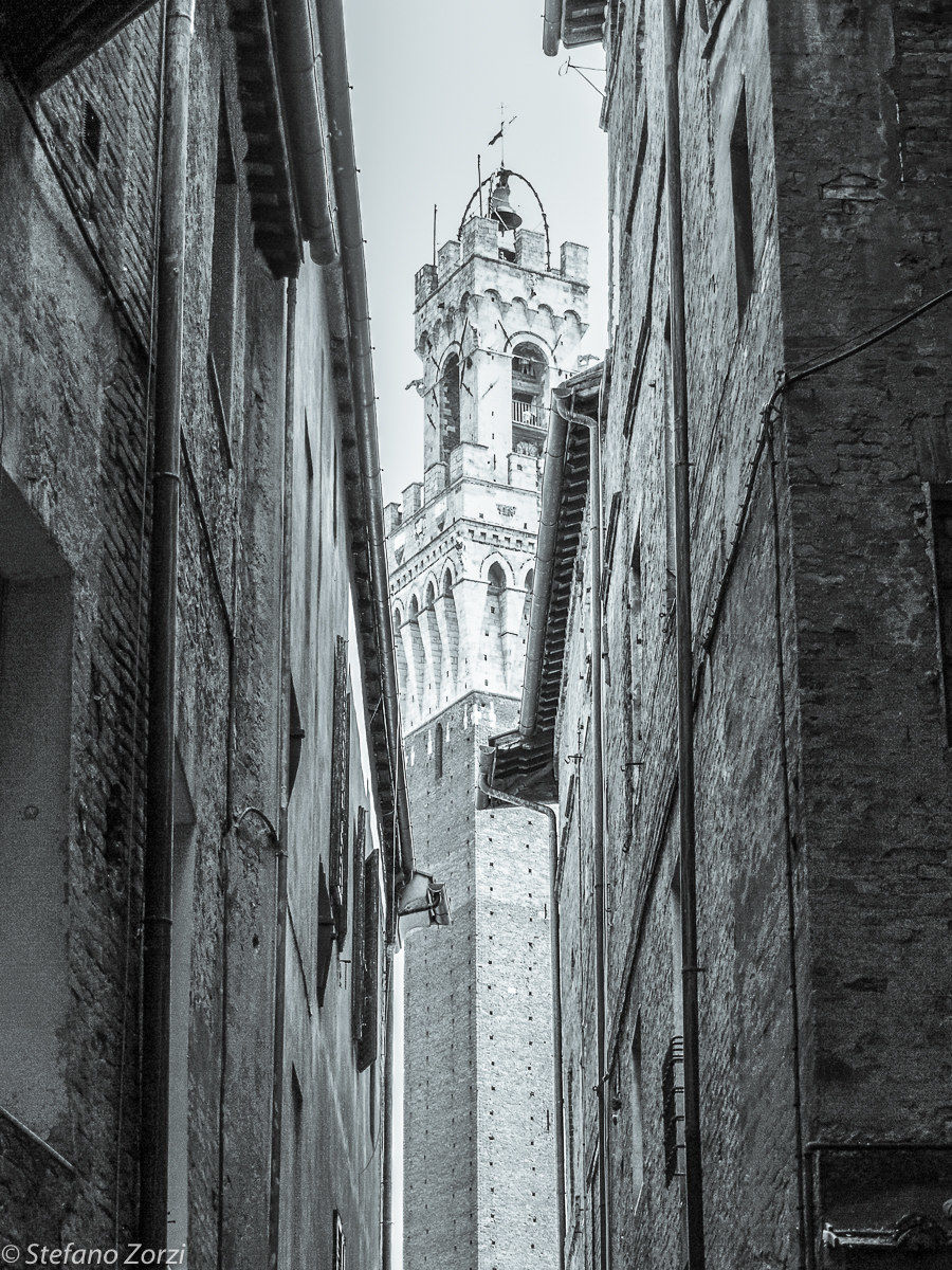 Foreshortening of Siena B / W