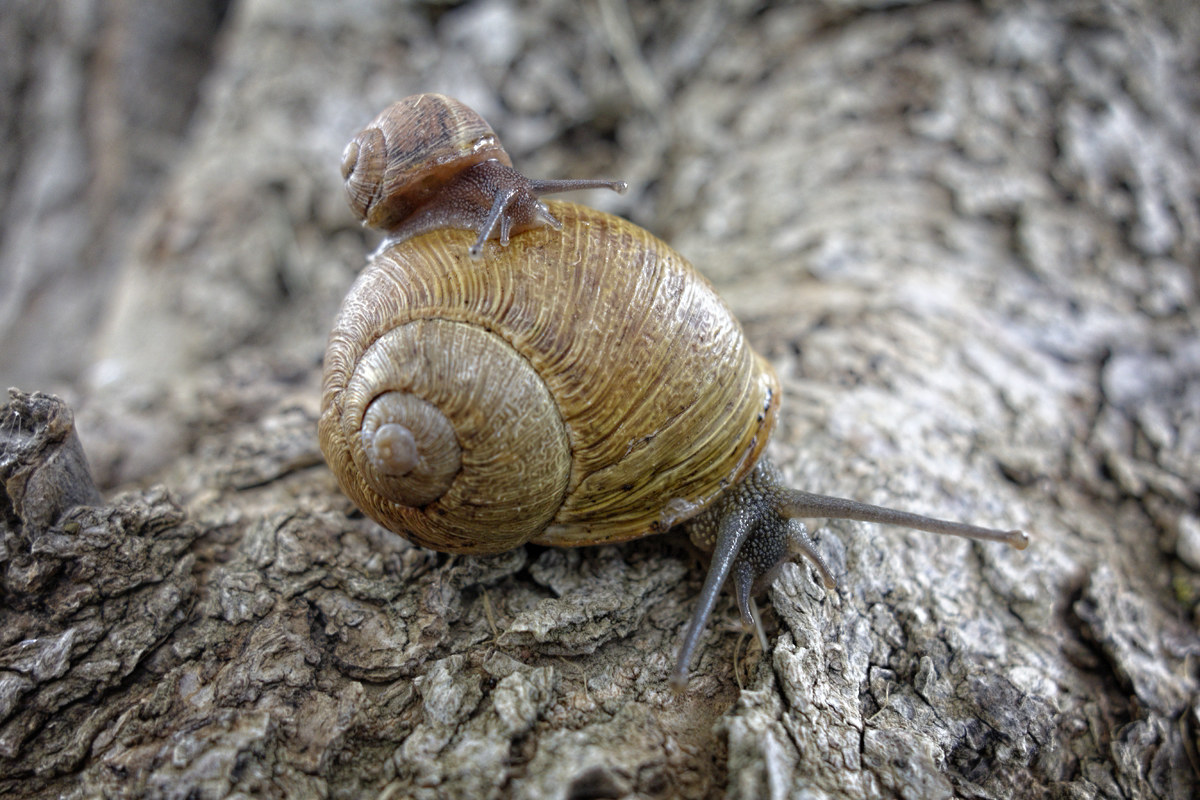 Thanks for the ride ...