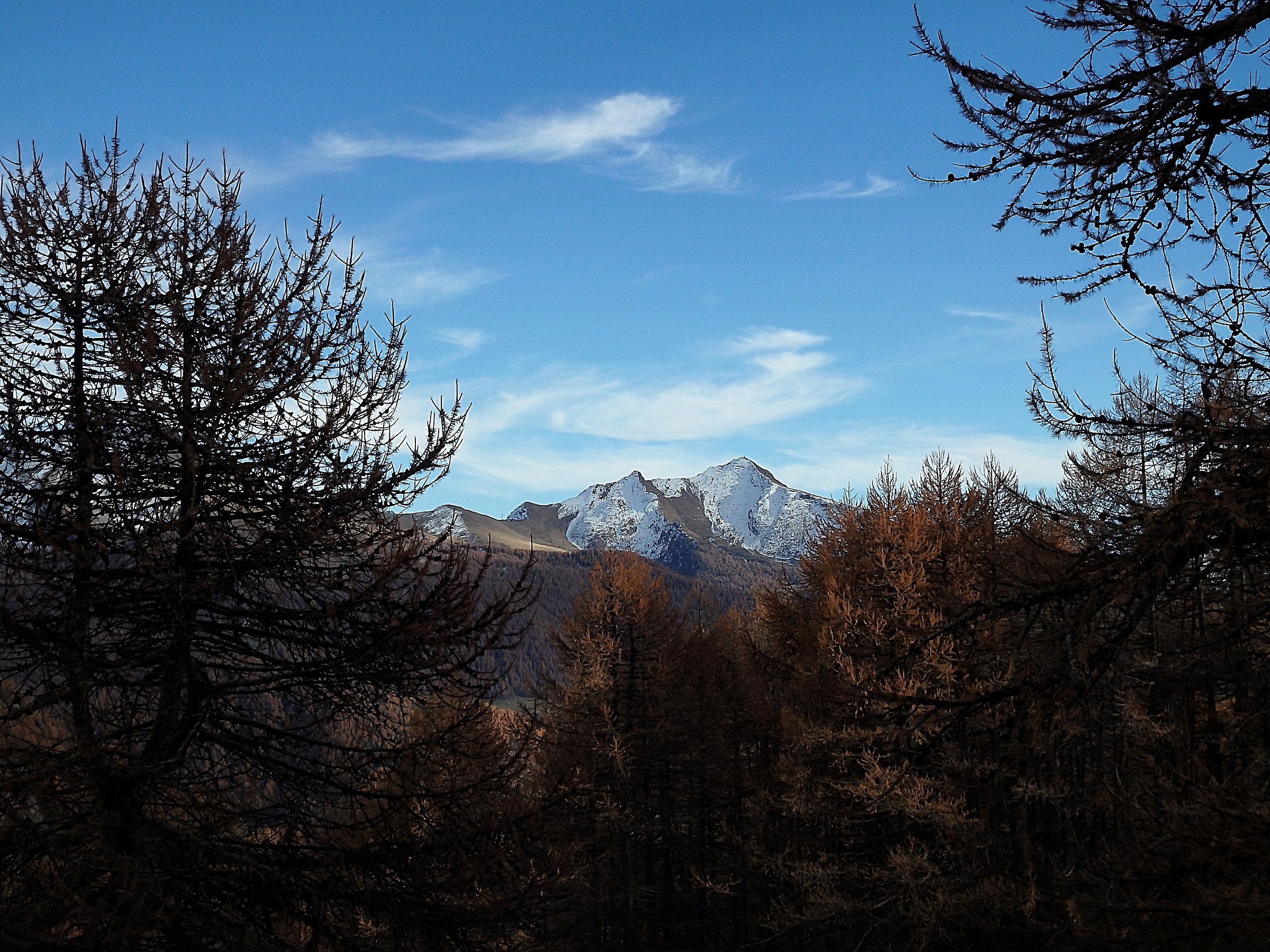 I look and I walk ...