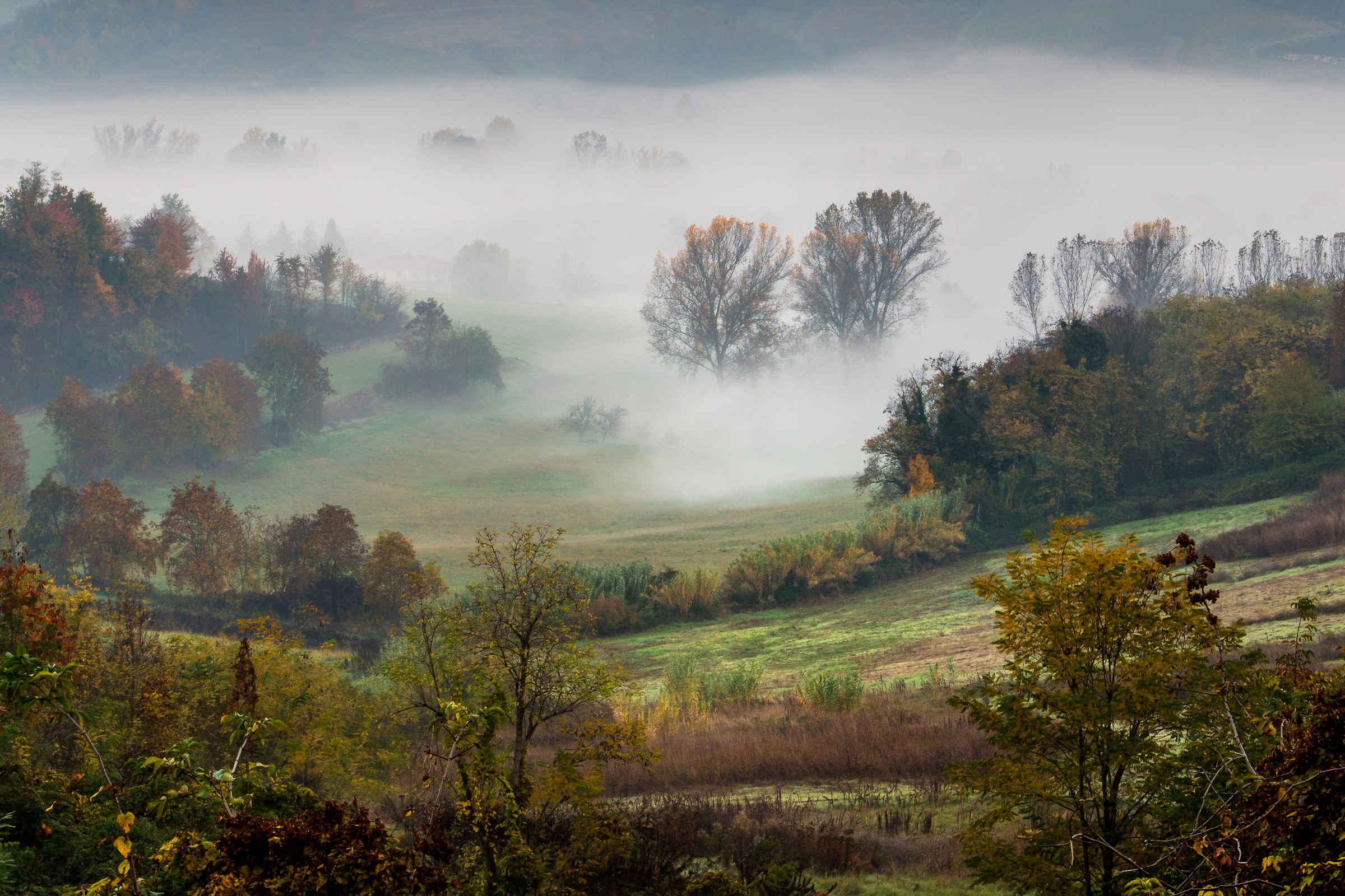 Monferrato in the fog
