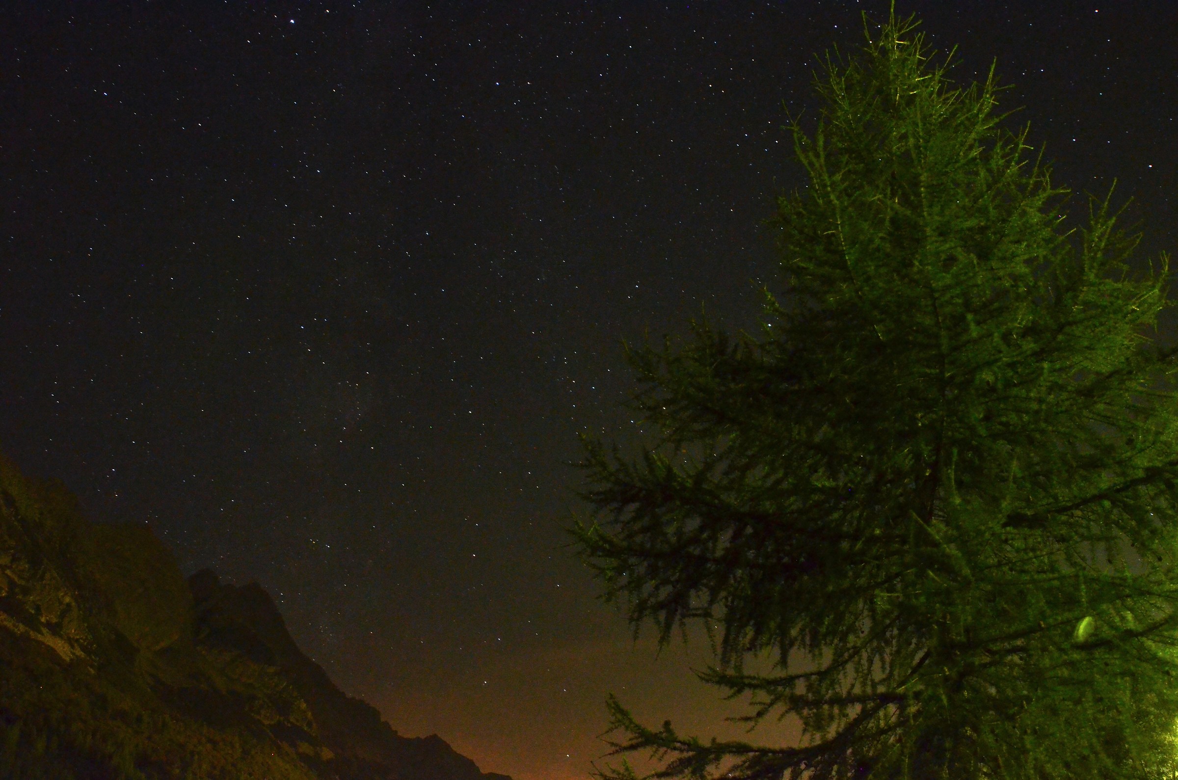 Stelle