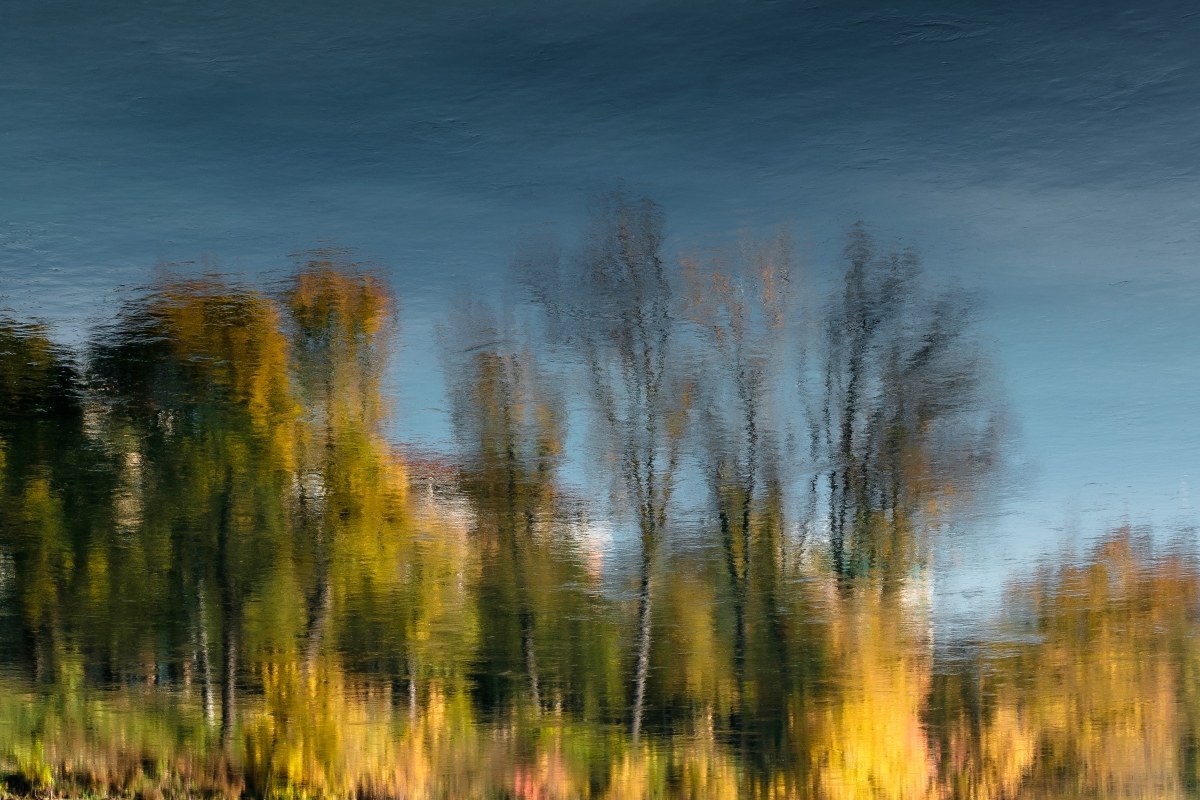 sottosopra.....................