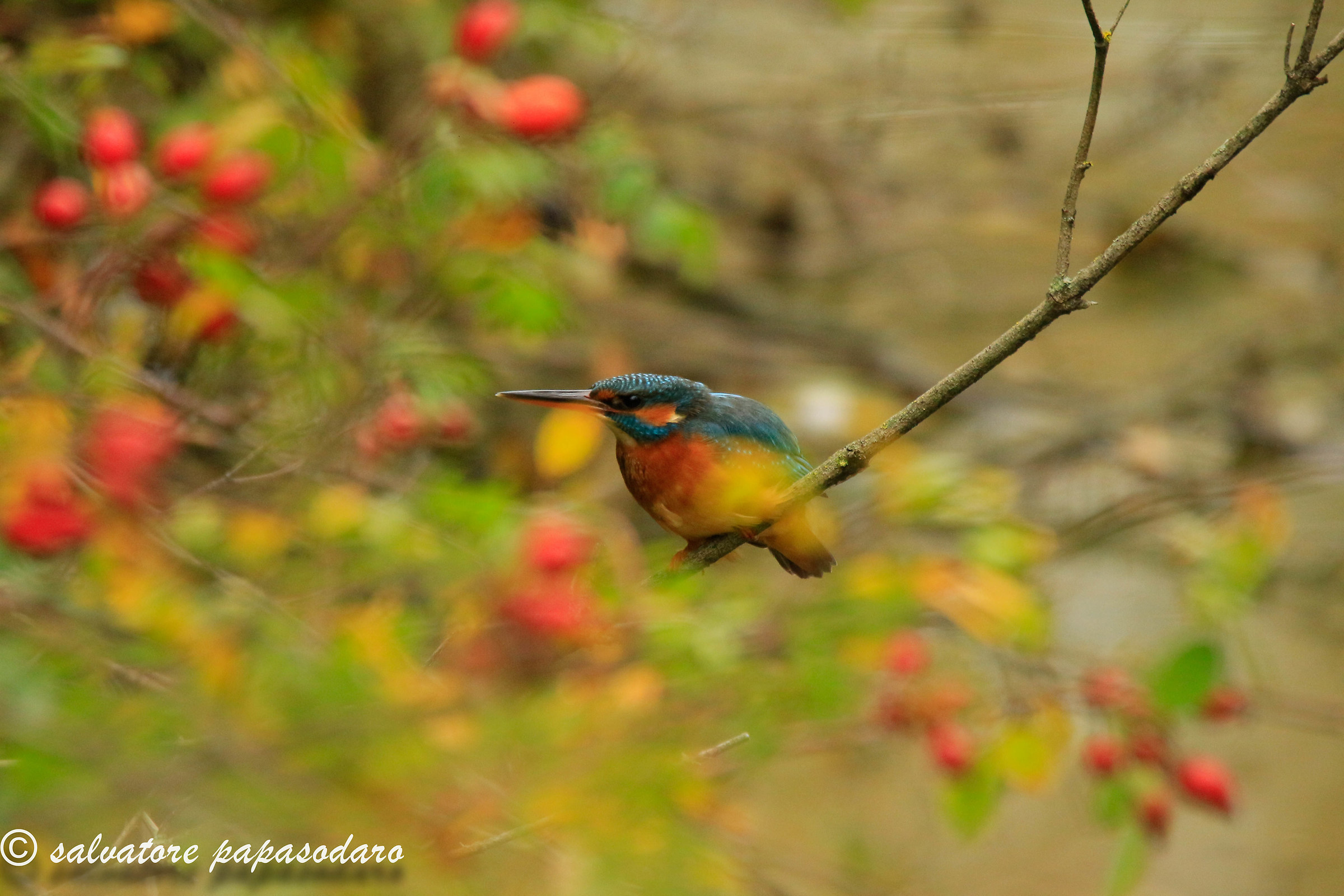infastidita tra la natura