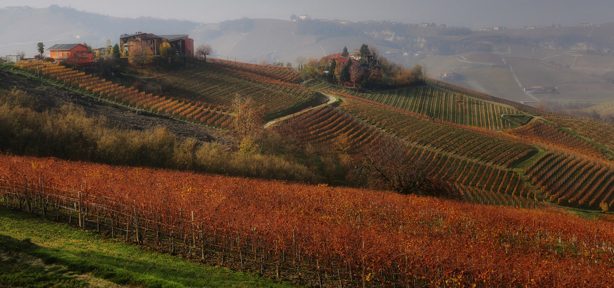 Fine autunno in Langa