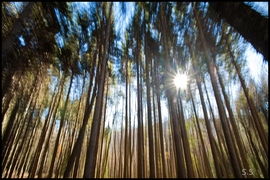 movimento verso il basso
