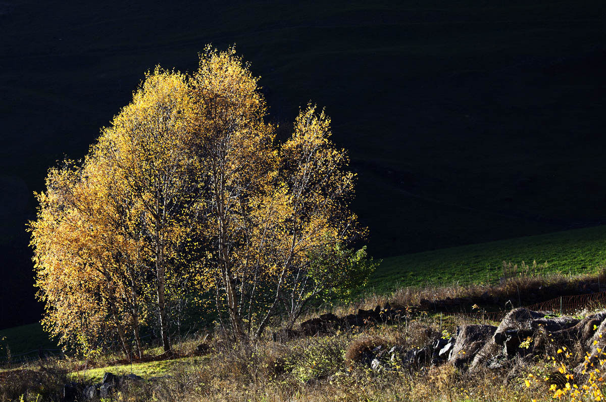 Prima che il buio ci prenda....