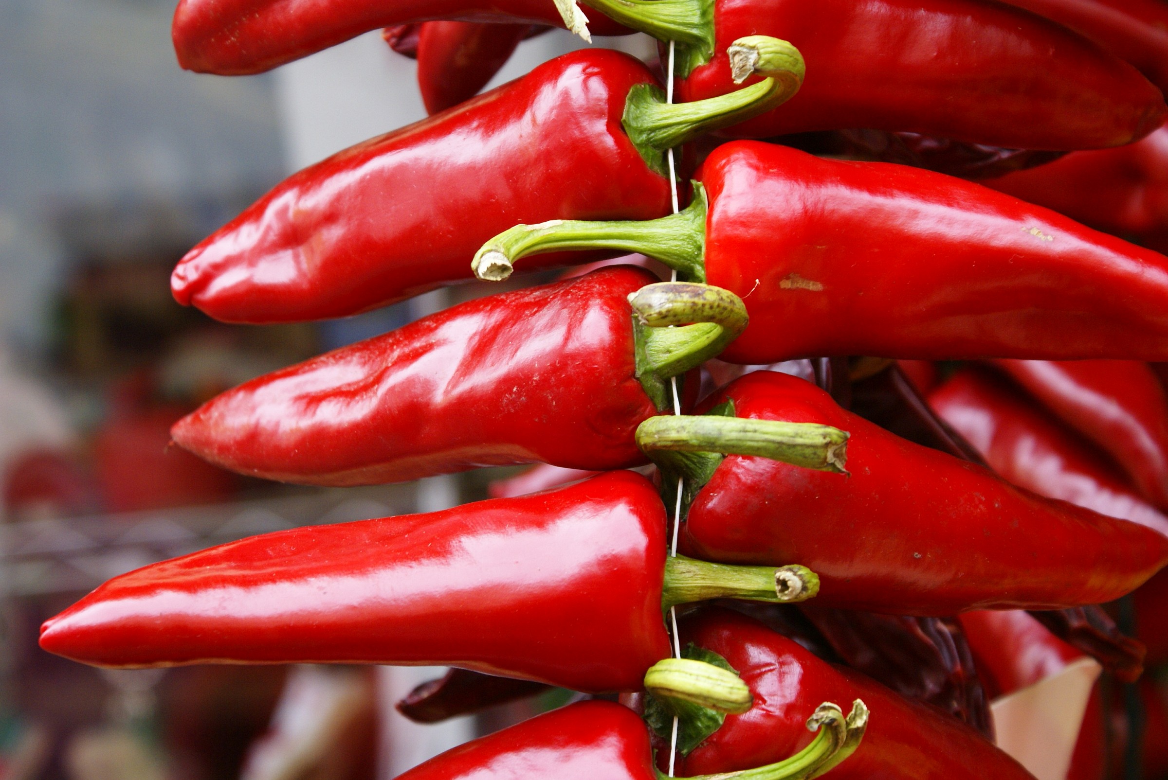 Piment d'Espelette rouge: Basque pride in Biarritz