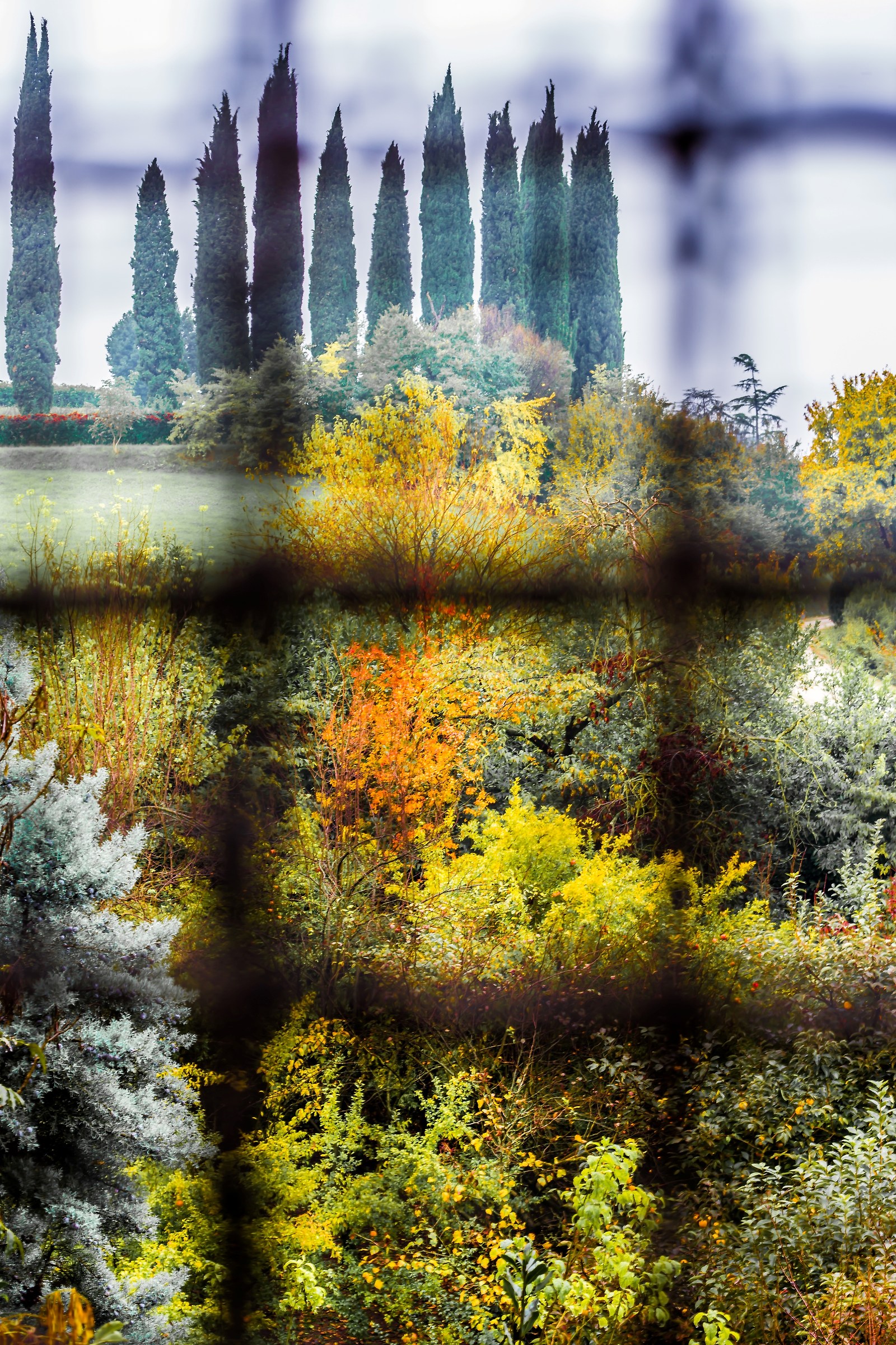 only now you realize ....