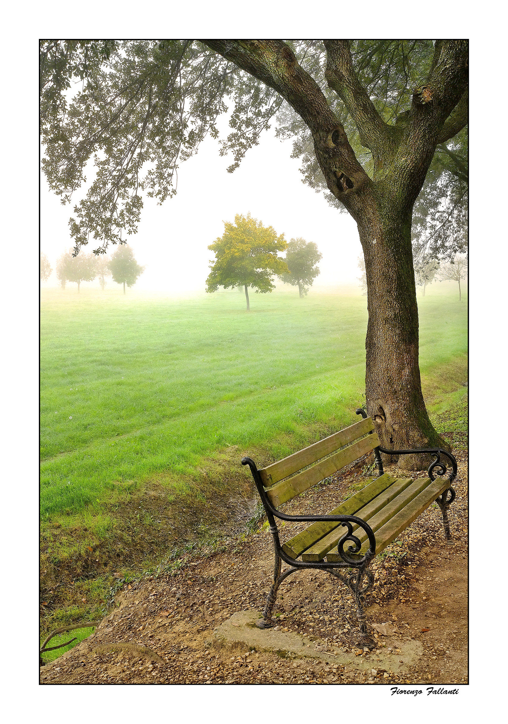 ...Nebbia di periferia...