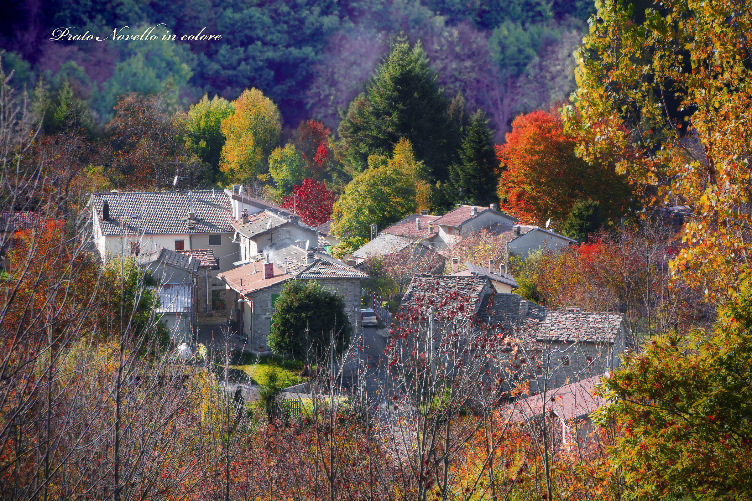 Prato Novello in colore