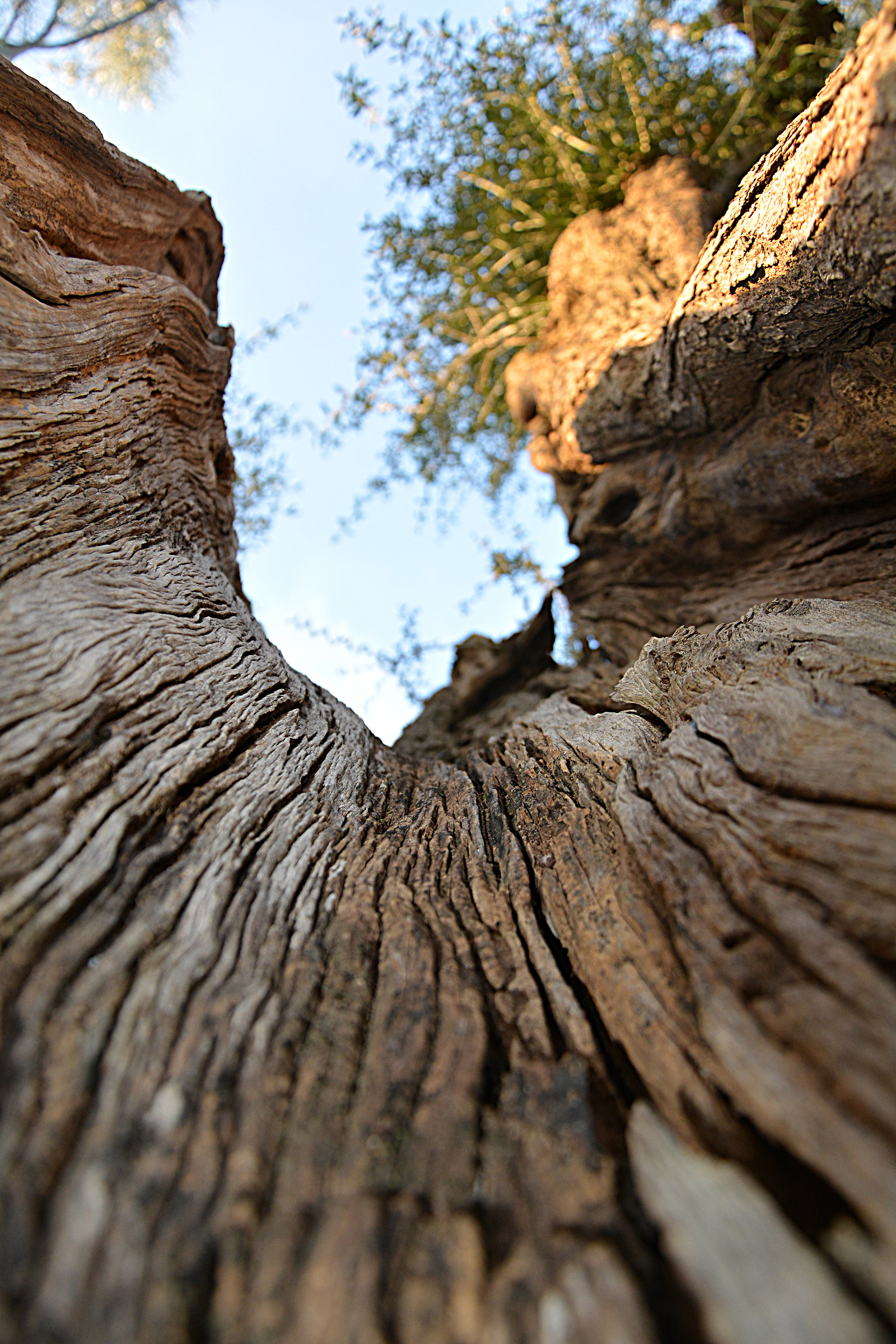 Vuoto, scavato dentro 2