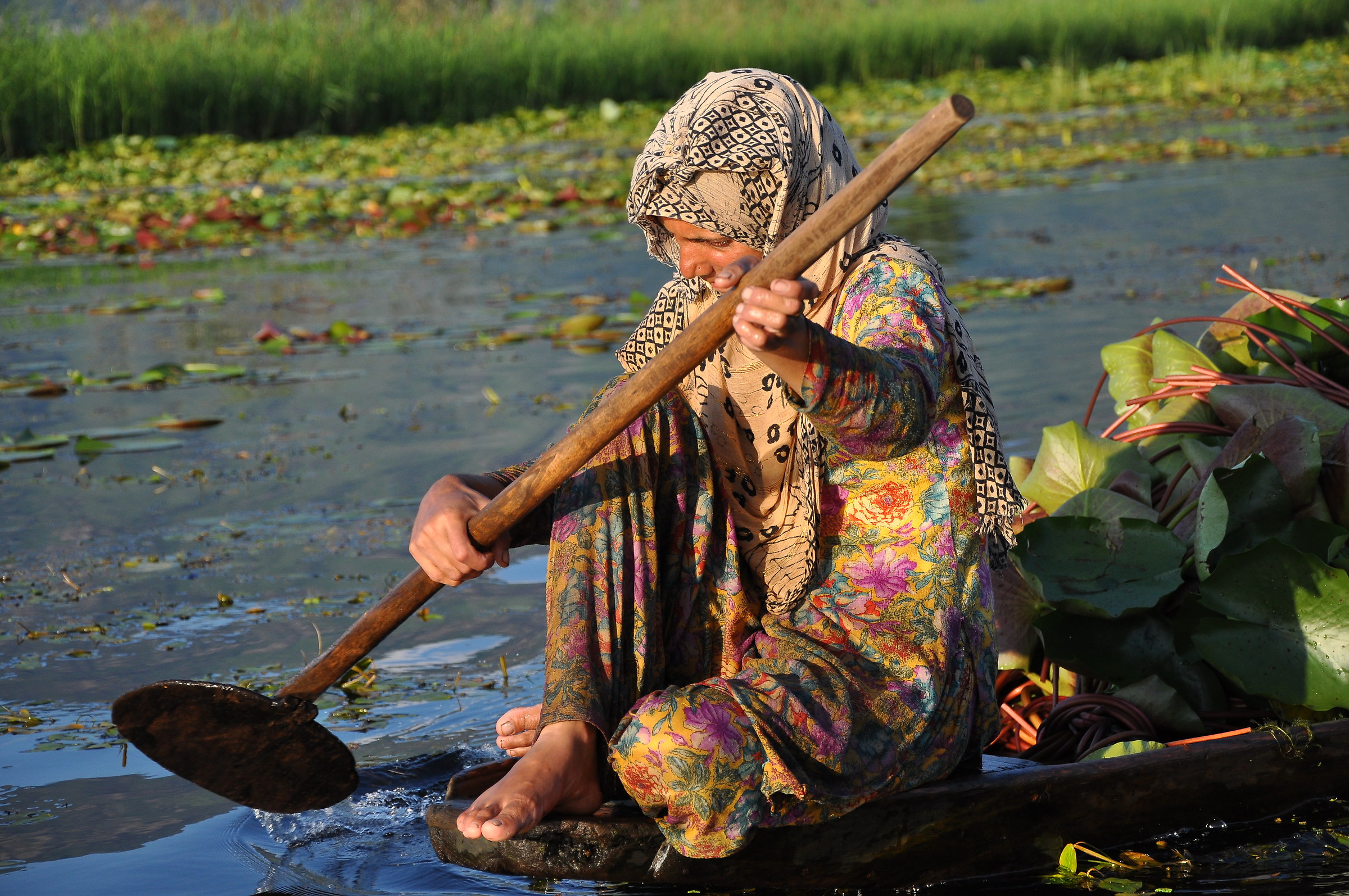 Trasporto sul lago di Srinagar